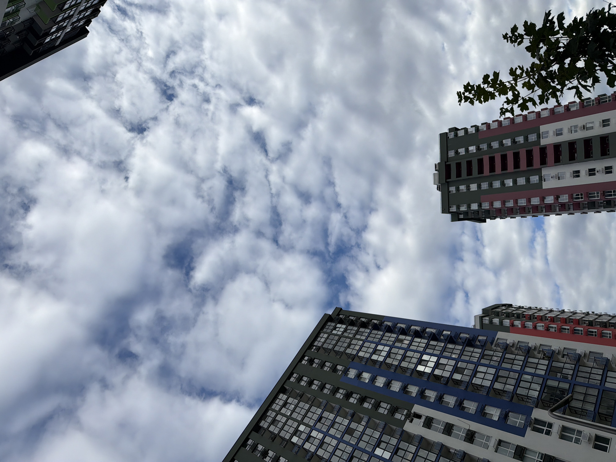 The image displays a view looking upwards at several modern high-rise apartment buildings against a cloudy sky. In the foreground and to the left, a tall building with a facade featuring blue and white sections, and numerous windows, is prominently visible. To the right and slightly further back, another building with green and red sections and similar window arrangements is present. A tree with green leaves is positioned to the right of the second building. The sky is filled with a mix of white and grey clouds, with patches of blue visible. The architecture suggests an urban setting, likely a residential complex. The scene is static and captures a moment in time, without any people or immediate actions depicted. Based on similar architecture and the context of the provided image, this is likely a residential building in the city of Kyiv, Ukraine.