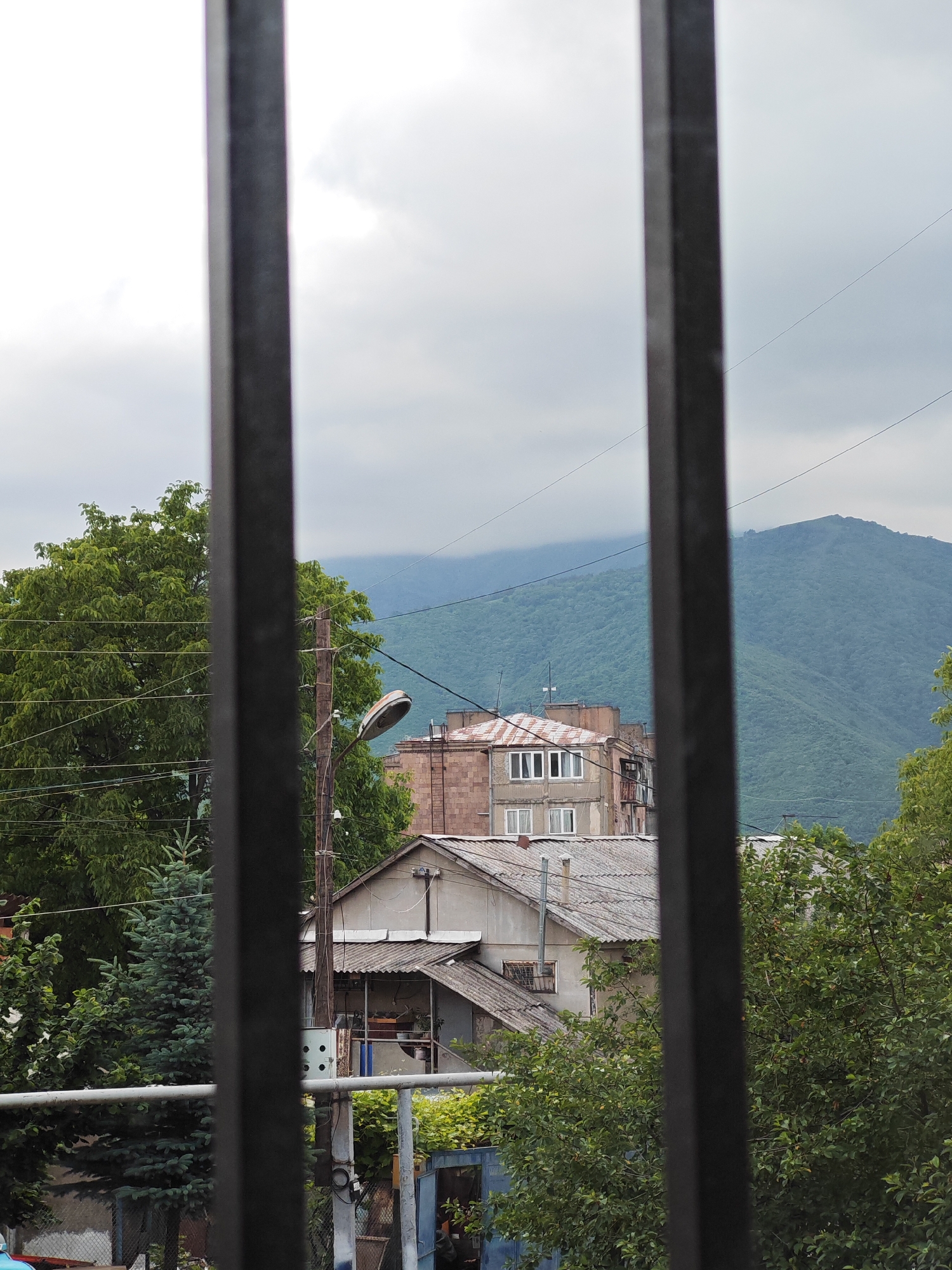 The image depicts an overcast day in Vanadzor, Armenia, with a view of a residential area and a forested mountain range in the background. The foreground is partially obscured by three dark, vertical metal bars, suggesting the shot is taken from behind a fence or window grille.
In the middle ground, several buildings are visible. On the left, a large, leafy green tree dominates the scene, with power lines crisscrossing in front of it. To the right of the tree, a wooden utility pole with a street lamp and electrical wires stands tall. Behind these elements, a multi-story building with a pinkish-brown facade and white-framed windows is prominent. Adjacent to it, a lower, grey-roofed structure with a pitched roof and visible rafters is situated. Further to the right, more trees and the roofs of other buildings can be seen.
The background is characterized by a vast, undulating mountain covered in lush green foliage. The sky is cloudy, creating a diffused light across the landscape. The overall impression is that of a typical urban residential area with a natural backdrop, viewed from a slightly obstructed vantage point. No people are visible in the image.