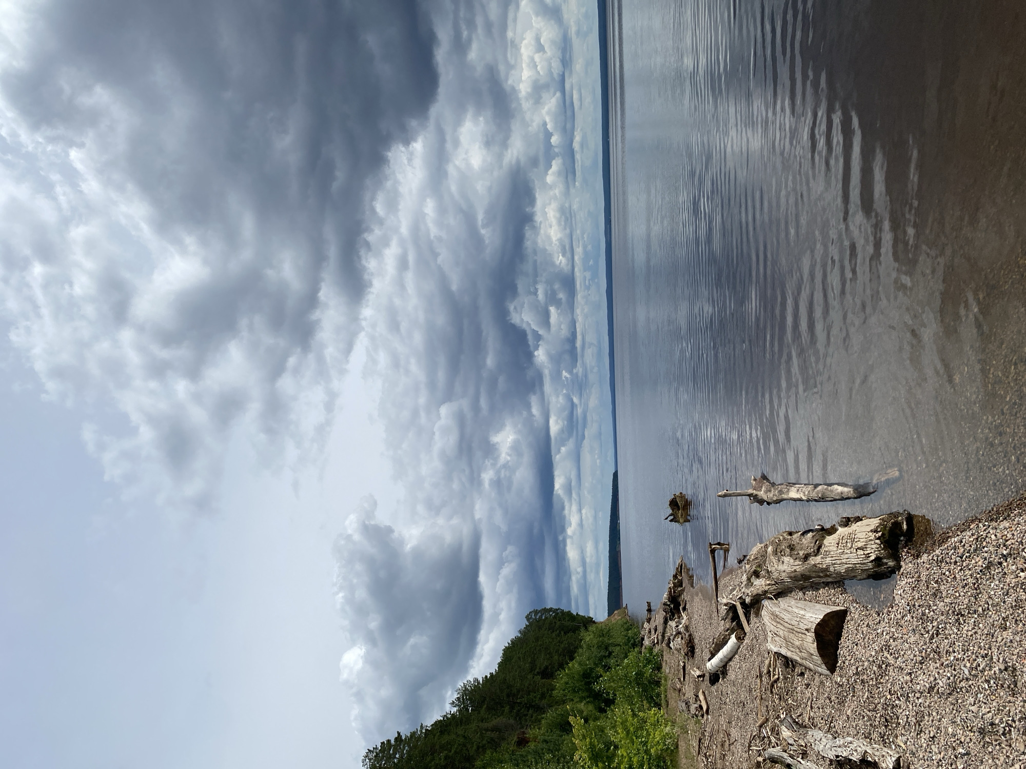 The image depicts a natural landscape on the shore of a large body of water, likely a river or lake, under an overcast sky filled with dramatic, dark clouds. The scene is located on the shore of Kamskoe, Russia, as indicated by the context provided.
In the foreground, a gravelly beach is strewn with numerous pieces of driftwood, varying in size and condition. Some logs are large and substantial, while others are smaller, weathered branches. One particularly large, textured log lies partially submerged in the shallow water at the edge of the shore. Further along the beach, smaller pebbles and stones are visible.
The water itself appears calm, with gentle ripples reflecting the cloudy sky. The water's surface is a dark, muted tone, with a subtle sheen. In the mid-ground, a few more pieces of driftwood are visible, with one piece standing upright in the water. A small, dark object, possibly a rock or a submerged log, is visible on the surface of the water in the mid-ground.
To the left of the image, a steep, wooded embankment rises from the shore. The embankment is densely covered with green trees, creating a lush, natural barrier. The trees are tall and appear to be a mix of conifers and deciduous species. The vegetation extends along the shoreline into the distance.
The horizon line is visible in the far distance, where the water meets the land under the oppressive, cloudy sky. The overall impression is one of a wild, untamed natural environment, likely a remote or less developed area. There are no people or man-made structures visible in the image, emphasizing the natural and serene character of the scene. The lighting suggests a diffused light, typical of a cloudy day, with limited direct sunlight.
