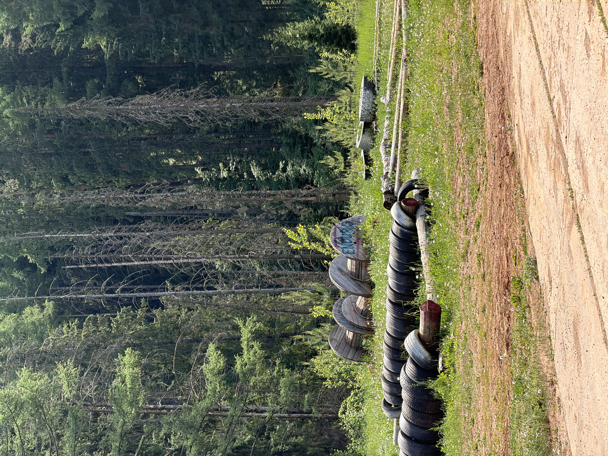 The image depicts a forest-adjacent outdoor area in Прикамский, Russia. A tire barrier runs along the edge of a dirt track or road. Wooden posts support the tire barrier. Behind the barrier, there is grassy terrain interspersed with trees and undergrowth. In the background is a dense forest. The lighting suggests it is daytime, and the scene appears undisturbed.