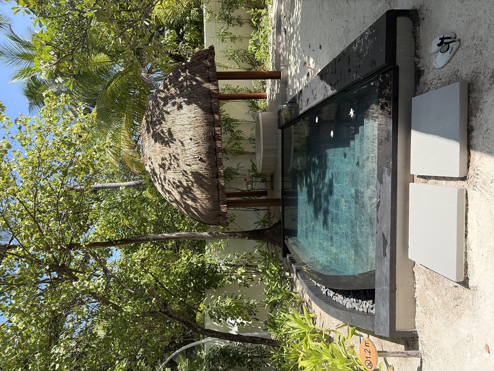 In Halaveli, Maldives, a rectangular swimming pool with a dark blue tiled interior and a dark grey border sits on a sandy surface. The pool is surrounded by lush green foliage and trees, including palm trees, casting dappled shadows on the sand and water. To the left of the pool, a small wooden sign with a circular symbol and "1.2 m" is planted in the sand. In the background, a circular jacuzzi with a light-colored exterior is visible beneath a thatched-roof pavilion supported by wooden posts. A white wall forms the boundary of the area, with more greenery visible behind it. Two light grey stepping stones are placed on the sand in front of the pool, and a pair of white water shoes are on the sand to the right of the stepping stones. The sky is clear and blue.