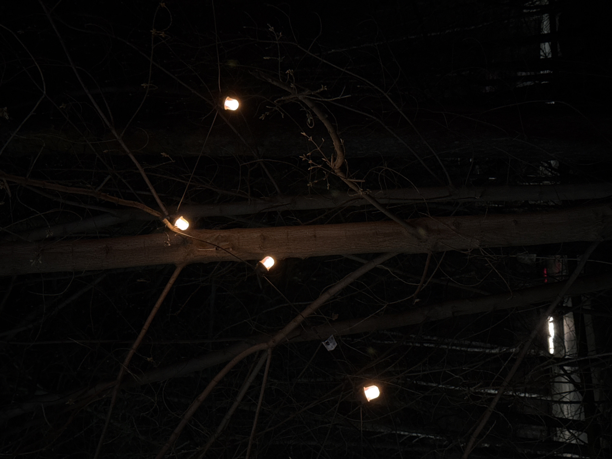 The image depicts a dark scene with a network of bare tree branches and a few illuminated lights hanging within the branches. The lights appear to be small and possibly incandescent, casting a warm glow. The overall ambiance is dim and mysterious due to the darkness surrounding the lights and branches. The branches are intricate and create a complex pattern against the dark background. The location is unknown in Chaikovsky, Russia. There are no people or other discernible subjects.