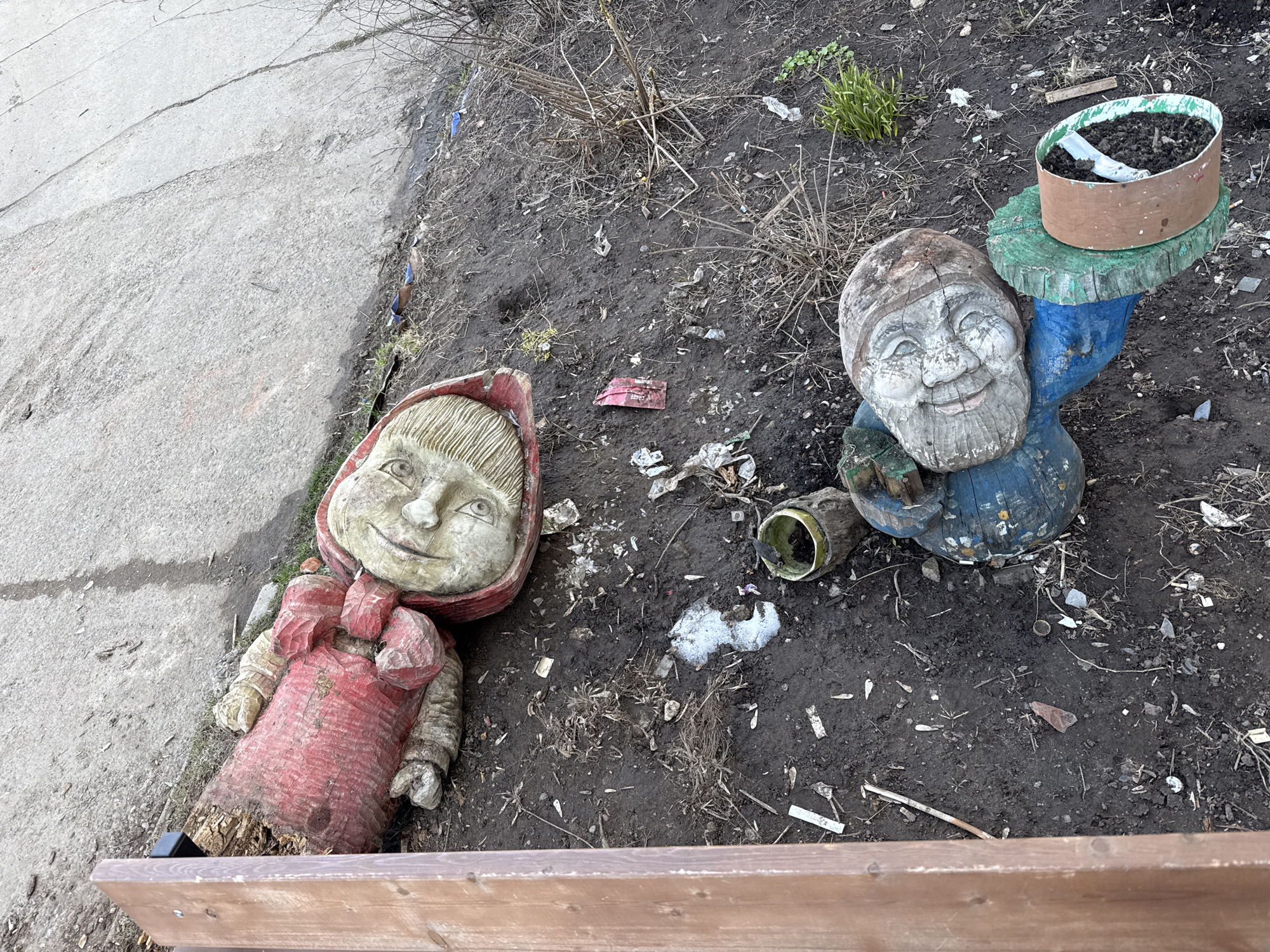 The scene is an outdoor space in Chaikovsky, Russia. Two wooden sculptures are situated in a patch of dark soil along the edge of a cracked, concrete pathway. One sculpture depicts a girl in a red dress and hood. The other is a male figure with a smiling face, holding a small table with a container of soil on top. Debris such as small pieces of paper and plastic are scattered in the soil surrounding the sculptures. Patches of vegetation, including small green sprouts and dried plant matter, are visible. A wooden bench is present along the bottom edge of the image.
