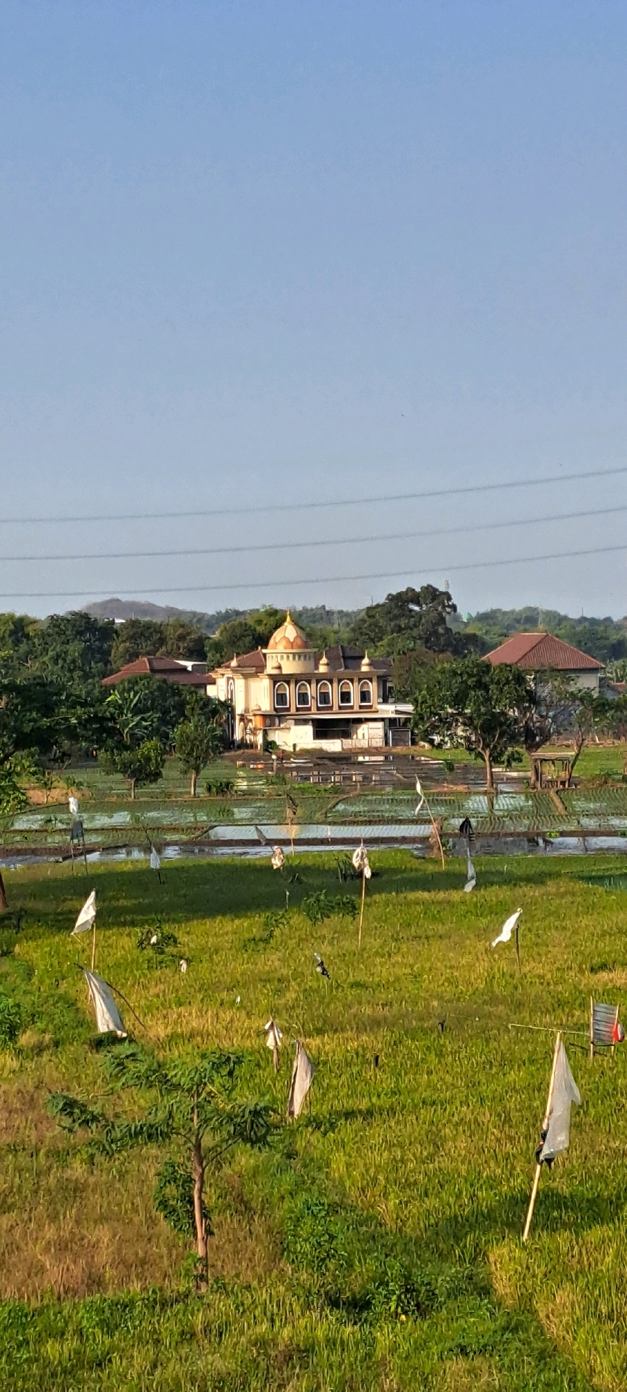 The image depicts a landscape with a building resembling a mosque or a grand house with a golden dome in the background. The foreground is dominated by a lush green field, likely rice paddies, with numerous scarecrows made of fabric and sticks scattered throughout. Some of the scarecrows have white flags attached to them. The field appears to be wet in some areas, suggesting recent watering or flooding typical of rice cultivation. In the mid-ground, there are more agricultural fields and some trees. Behind the fields, a dense line of trees forms a natural barrier, beyond which the aforementioned domed building is situated, along with other structures with red-tiled roofs. The sky is clear and blue, with power lines visible in the upper portion of the image, stretching across the frame. The overall scene is rural and serene, bathed in the warm light of what appears to be late afternoon or early morning sun, casting long shadows across the field. The presence of the scarecrows indicates agricultural activity, and the building in the background suggests a place of worship or a significant residential property. The location is identified as Kebon Waris, Indonesia.