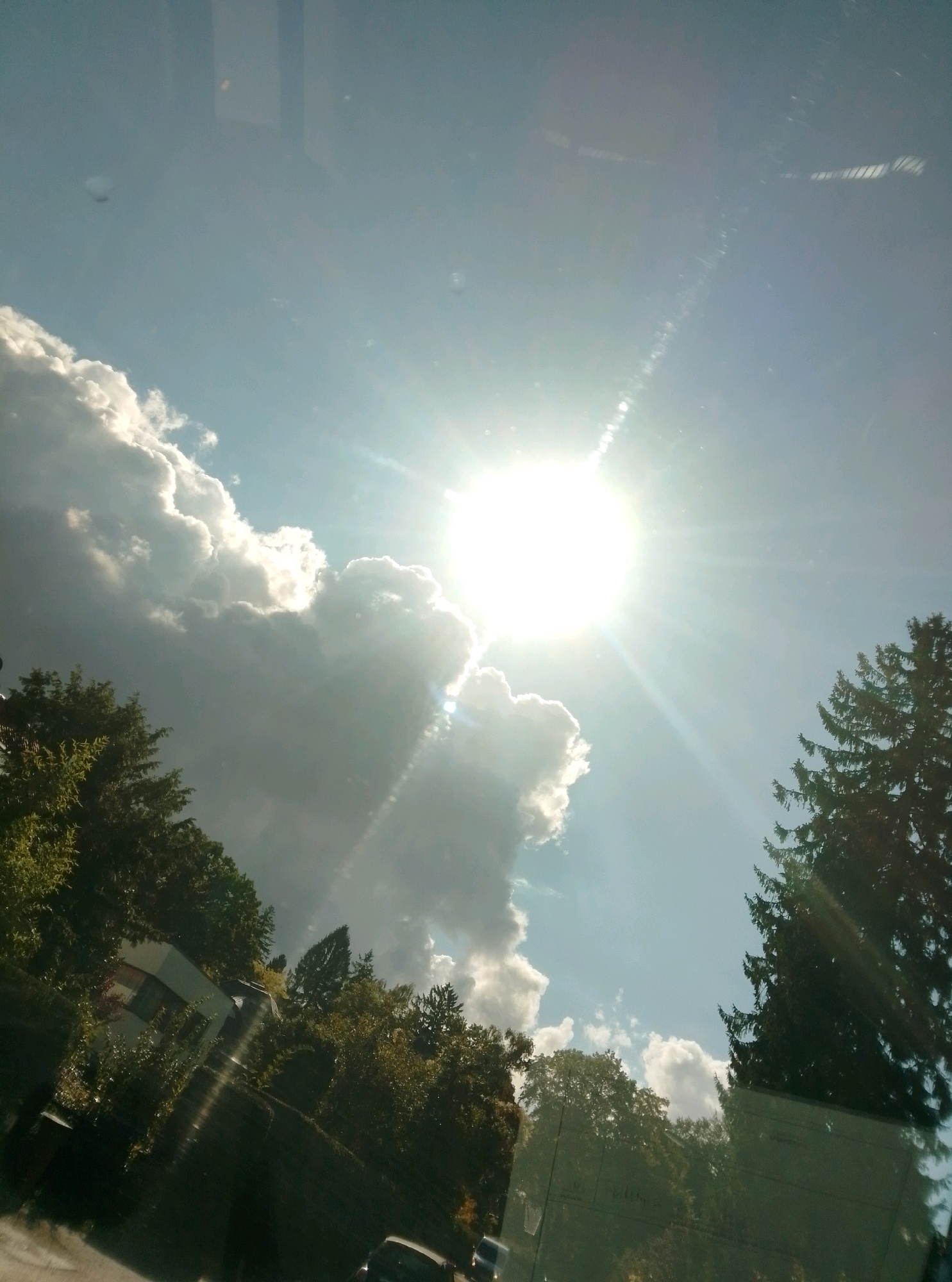 The image shows a bright sun shining in a partially cloudy sky, with the sun's rays creating a lens flare effect. The foreground is dominated by the tops of green trees and the roof of a building, with some cars visible on what appears to be a street. The scene is likely viewed from inside a vehicle, as evidenced by reflections on the glass. The weather appears to be sunny and pleasant, suggesting it is daytime. The presence of evergreen trees and suburban architecture could indicate a location within or on the outskirts of Hamburg, Germany, possibly in an area with a mix of residential and natural elements.
