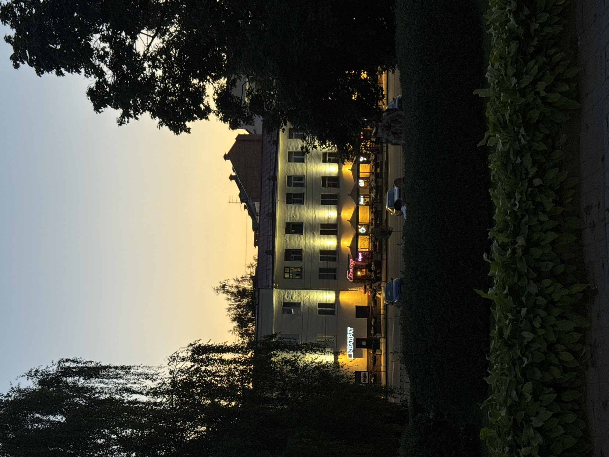 The image depicts a street scene at dusk in Mahilyow, Belarus, likely captured near the intersection of Pervomayskaya Street and Oktyabrskaya Street. In the foreground, a neatly trimmed hedge forms a dark green boundary. Behind the hedge, a sidewalk is visible, and beyond that, a street with several parked and moving vehicles.
The central focus is a long, multi-story building with a light-colored facade. The building is illuminated by warm spotlights from the ground level, creating bright patches on its surface. Several windows are visible on the upper floors. The ground floor of the building appears to house commercial establishments, with illuminated signage. One sign reads "КВАДРАТ" (KVADRAT), and another, in pink neon, appears to say "Bon-bon" or similar, suggesting a cafe or restaurant. Outdoor seating areas with umbrellas are set up in front of some of these establishments.
The sky above transitions from a pale blue at the top to a soft orange-yellow near the horizon, indicating sunset or twilight. Silhouetted against the sky are the dark shapes of trees on both the left and right sides of the frame, framing the view of the building and the street. The tree on the left has distinctive drooping branches, characteristic of a birch tree. The overall atmosphere is calm and serene, with the artificial lights of the establishments and streetlamps beginning to illuminate the scene as natural light fades.