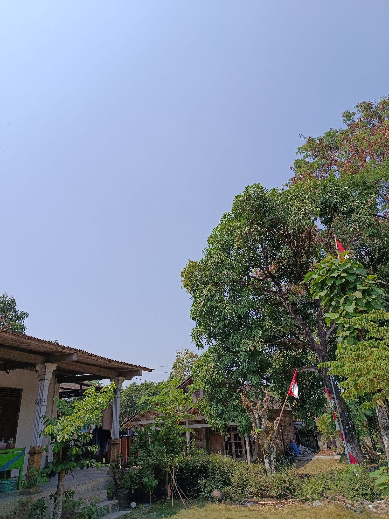 A bright, clear sky dominates the upper portion of the image, with a hint of haze. In the foreground and mid-ground, a rural residential scene is depicted in Kemiri, Indonesia. On the left, a simple house with a corrugated metal roof supported by concrete pillars is visible. A set of concrete steps leads up to the covered porch. To the right of this house, a second, smaller brick house with a wooden roof and windows is partially visible. A large, leafy tree with reddish-brown seed pods stands prominently in the mid-ground, to the right of the brick house. Two Indonesian flags, red and white, are attached to poles and appear to be tied to branches of the trees. Lush green vegetation, including bushes and smaller trees, surrounds the houses and forms the lower part of the scene. The ground in front of the houses is covered in dry grass. The overall impression is of a warm, sunny day in a semi-rural Indonesian setting.