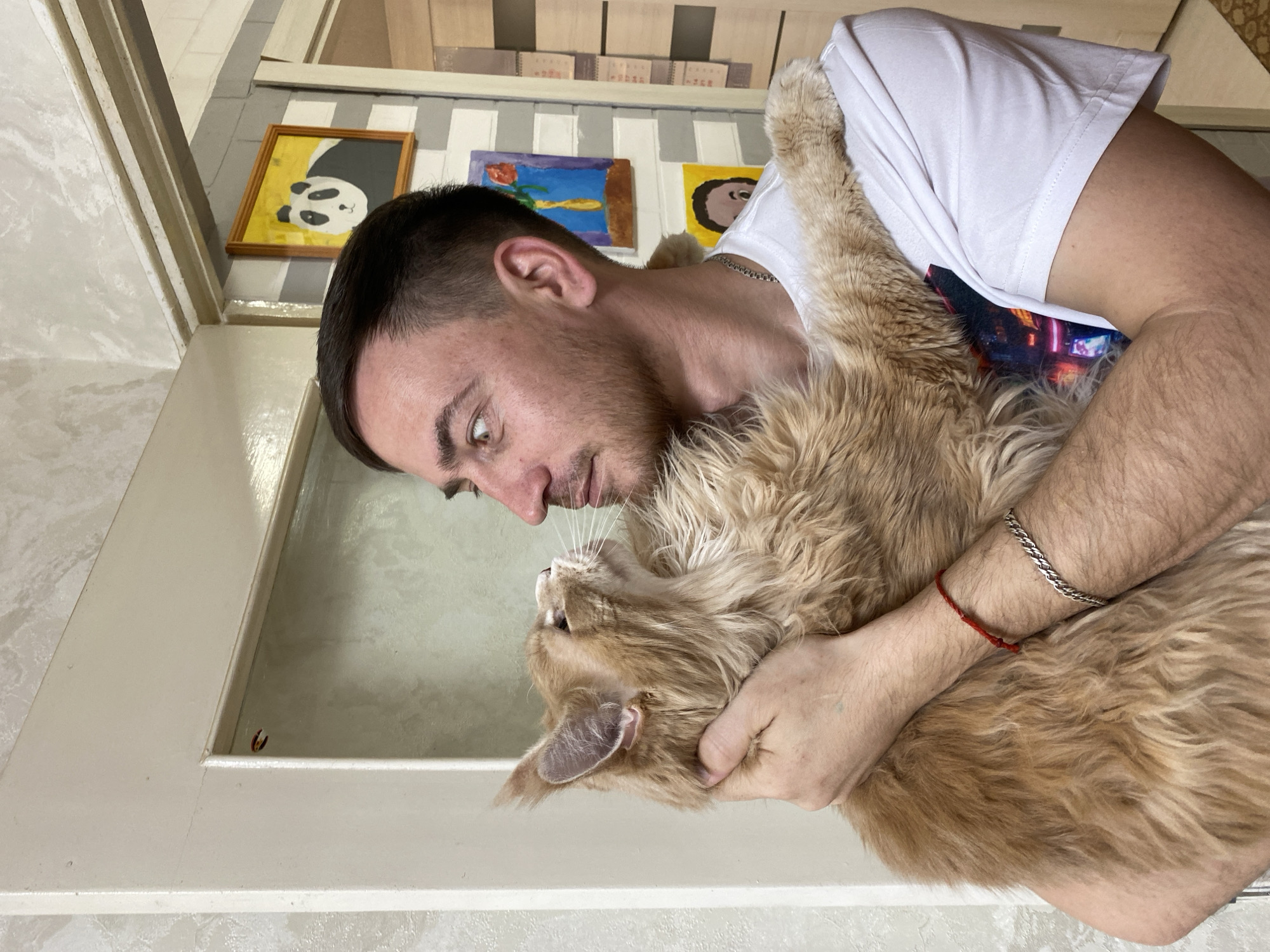A man in a white t-shirt is holding a large, ginger cat. The man is looking down at the cat, his face close to the cat's head. The cat is facing the man. The background includes framed paintings of a panda, a floral scene, and an abstract image. A shelf with books sits above the paintings. The photo was taken at a residence in the city of Chaikovsky, Russia.