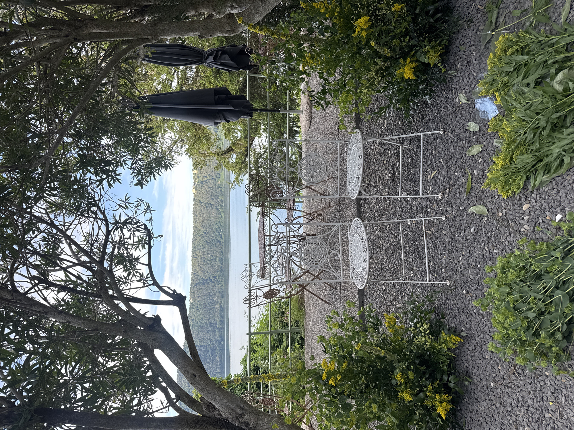 The image shows an outdoor scene in Castel Gandolfo, Italy. There are two ornate white metal chairs and a table situated on a gravel surface. The table is overlooking a body of water, with tree-covered land visible in the distance. Two closed black umbrellas are leaning against the railing behind the table. The scene is framed by a tree on the left side of the image and shrubbery on the right. The gravel area has some loose vegetation scattered around. The sky is blue with some clouds.