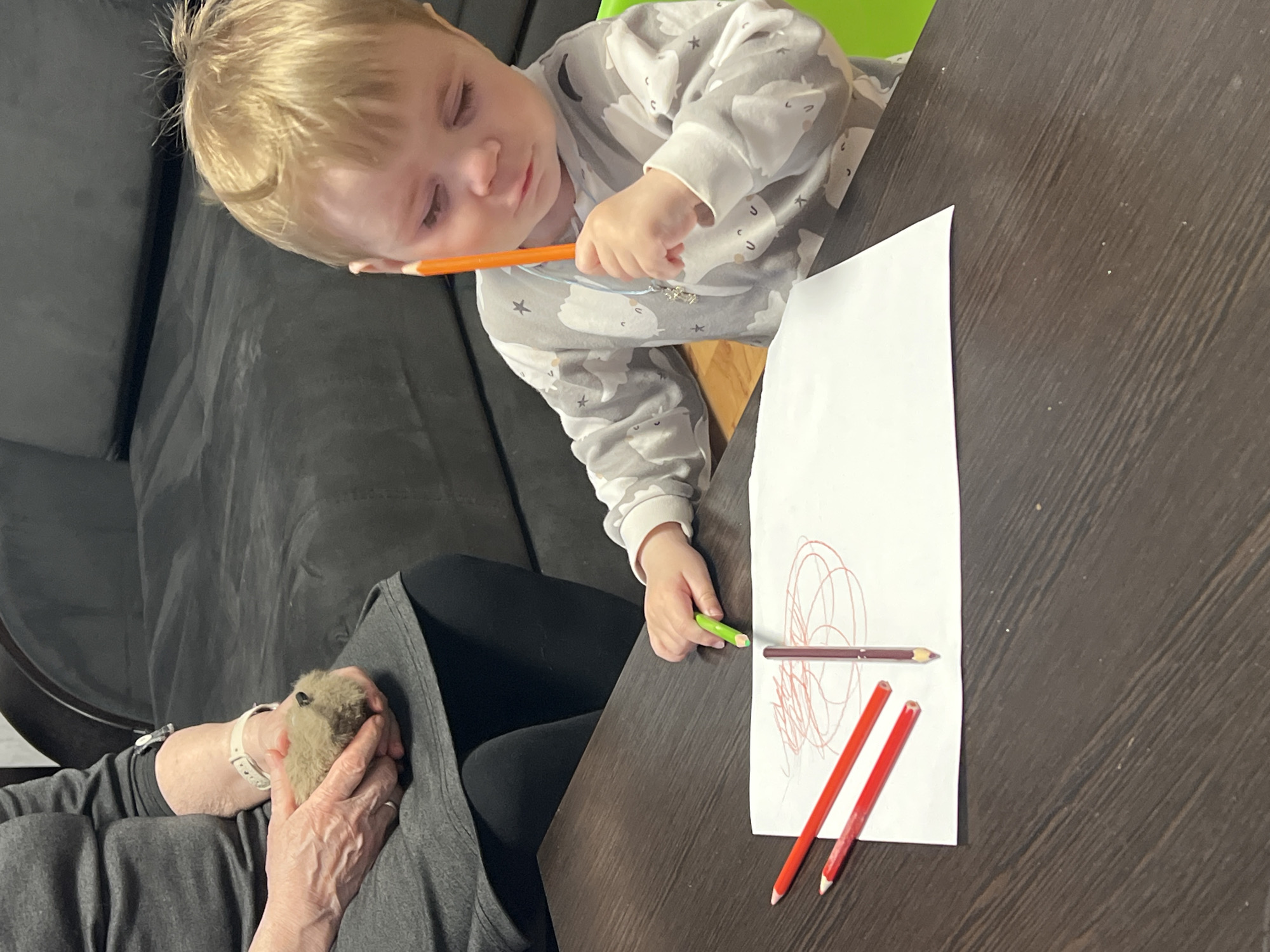 This indoor, high-angle shot captures a quiet, domestic scene, likely in a home in Perm, Russia. A young, blonde-haired child, dressed in a grey and white long-sleeved top adorned with cloud and star patterns, is seated at a dark brown wooden table. The child is engrossed in drawing, holding an orange colored pencil near their face and a green one in their right hand, poised above a white sheet of paper. The paper already bears red scribbles, and additional colored pencils—one brown and two red—lie on the table. A small, light blue string with a car-shaped charm is visible around the child's neck.
Beside the child, an adult is partially visible, wearing dark pants and a grey top. The adult's hands, adorned with a white watch on one wrist, are gently cradling a small, furry, light brown pet, possibly a guinea pig or hamster. In the background, a dark grey couch is visible, along with a hint of a bright green object, possibly a chair. The overall atmosphere appears calm and focused, depicting a shared moment of activity between the child and the adult during what seems to be daytime. No text is visible in the image.