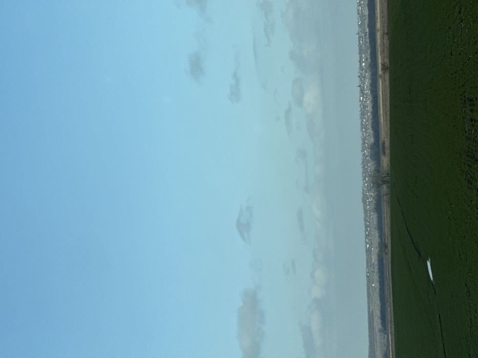 The image displays an expansive outdoor landscape under a predominantly light blue sky with scattered light gray and white clouds. The foreground consists of a dark green agricultural field, likely cultivated, featuring a small, irregular patch of white material, consistent with snow or ice, in the lower-left quadrant. Faint linear indentations are visible across the field. In the midground, a horizontal band of bare deciduous trees and brush, appearing light brown and gray, separates the field from the distant horizon. On the horizon, a low-density settlement, consistent with a town or village, is visible as a cluster of buildings, some with discernible pointed roofs, stretching across the landscape. No people, subjects, or active interactions are depicted. This scene is located in the city of Zarevo, Russia.