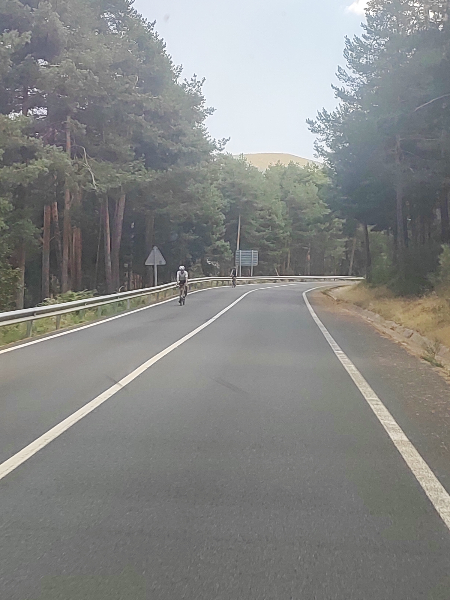 The image shows a paved road winding through a forest of tall pine trees. The road has white lines marking the lanes. On the right side of the road, there is a white metal guardrail. A cyclist wearing a helmet and athletic clothing is riding a bicycle in the left lane, moving away from the camera. In the distance, there is a triangular road sign. The sky is overcast, and the overall lighting suggests it is daytime. The scene appears to be located in a rural or mountainous area, likely a nature reserve given the dense forestation. This area is consistent with the location of Real Sitio de San Ildefonso, Spain, known for its pine forests and royal estates.