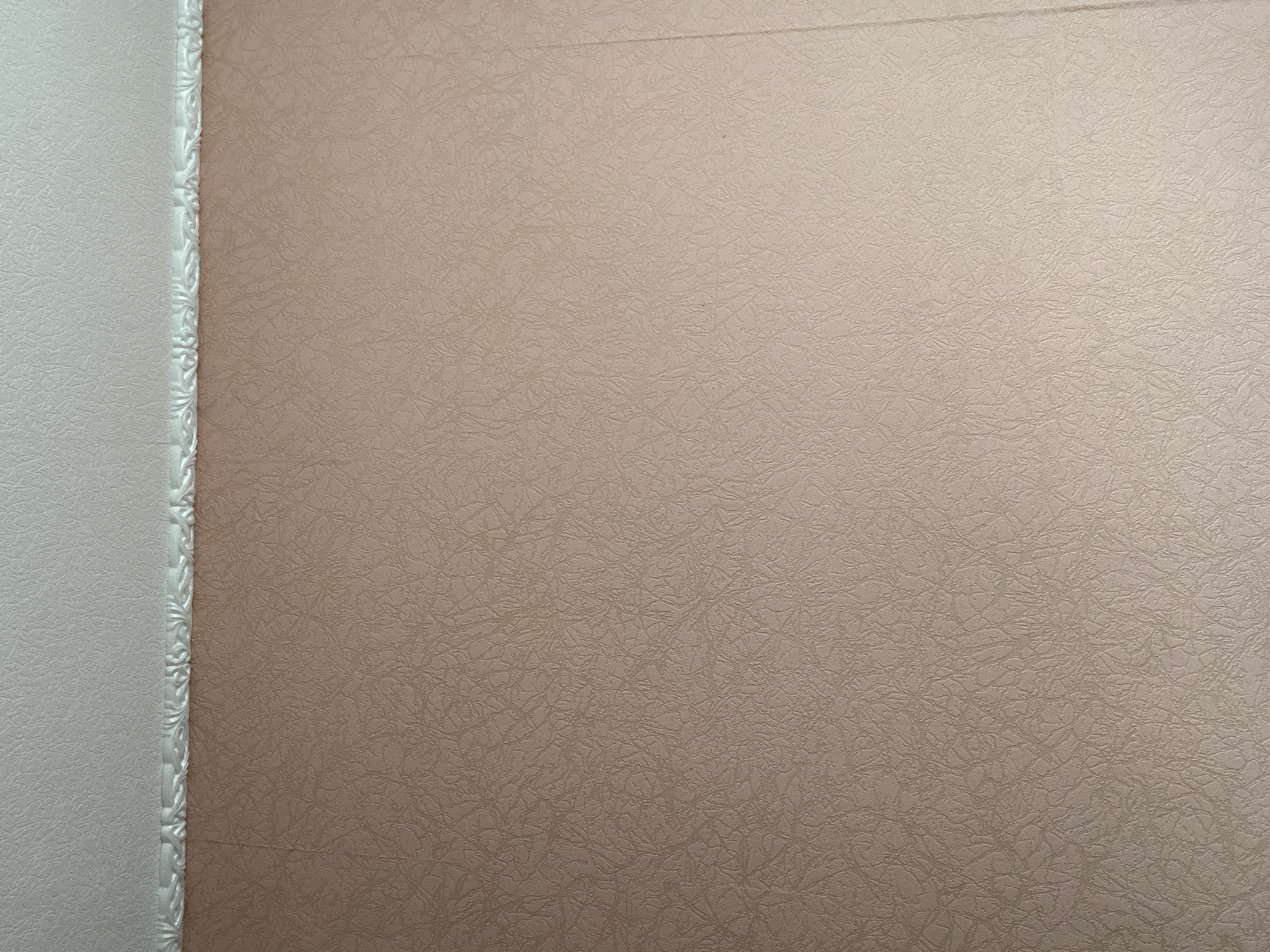 The image captures an interior wall divided into two distinct sections. On the left, a vertical strip of light, off-white, or very pale beige wall is visible. The majority of the image is occupied by a larger section of wall painted or covered in a muted brownish-tan color. Both wall sections share a consistent, subtle textured pattern that resembles crinkled paper, fine fabric, or a subtly etched surface.
Separating these two wall sections is a decorative, vertical border, likely a piece of trim or molding. This border is white or off-white and features an ornate, raised relief design composed of repeated scroll-like motifs, possibly reminiscent of classical or baroque styling with shell or leaf-like elements.
Across the upper part of the brownish-tan wall, a faint horizontal line or seam is visible, suggesting the joining of two wallpaper panels or building materials. A second, less defined horizontal line appears slightly below the first. The lighting is even, typical of an indoor environment, and there is no visible activity or explicit text. This scene is located in Chaikovsky, Russia.