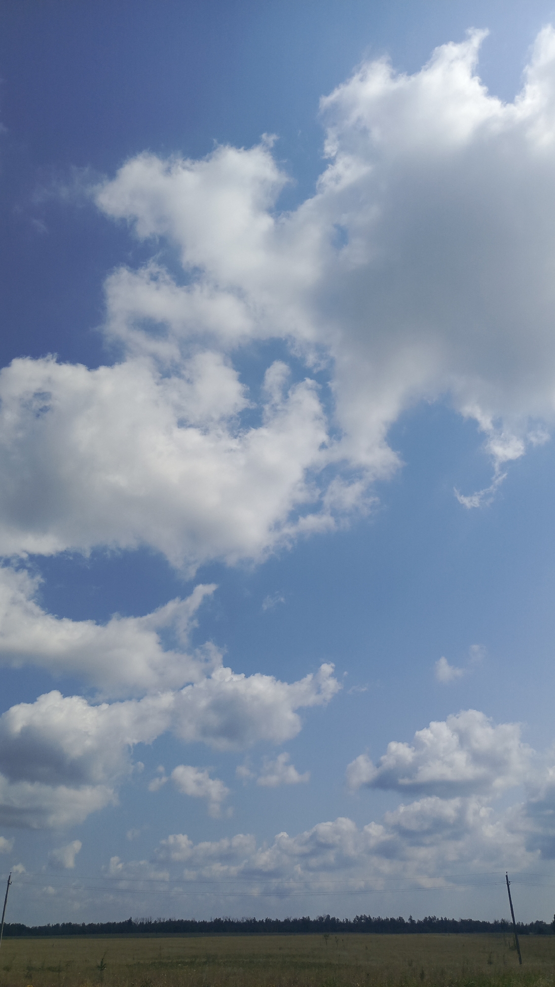 The image depicts a wide, open field under a bright blue sky dotted with fluffy white clouds. The ground is covered in dry, yellowish-brown grass, suggesting a warm climate or season. A dark, dense line of trees forms the horizon. Two utility poles are visible in the distance, one on the left and one on the right, with thin wires stretched between them. The scene appears to be in a rural or undeveloped area. The location is specified as Ivanovsky, Russia.