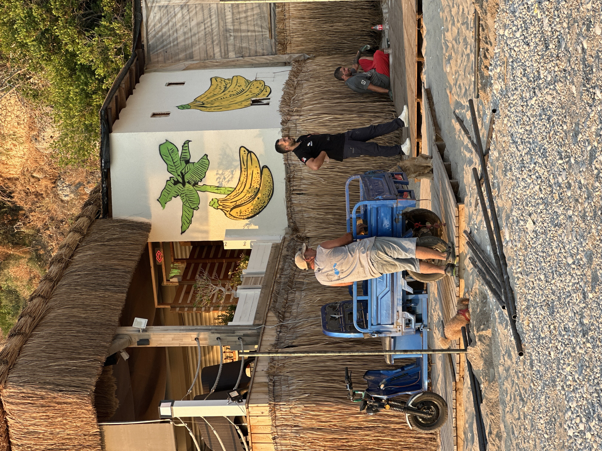 This image captures a beach scene in Fethiye, Turkey, illuminated by warm, directional light, suggesting either early morning or late afternoon. A two-story structure, likely a beach bar or restaurant, is centrally positioned. The building features a substantial dark brown thatched roof and a lower facade similarly covered. The upper level consists of a wooden deck with dark woven chairs, a white railing with rope accents, and potted plants in white planters. A white exterior wall section on the right displays two cartoon-style murals depicting banana plants and banana bunches in green and yellow. A red neon sign, shaped like lips and displaying "W A," is partially visible under the thatched overhang on the right.
The ground in the foreground comprises small, light-colored pebbles, transitioning to light brown sand. Several dark, cylindrical pipes are scattered horizontally on this surface. A raised wooden platform extends from the building across the sandy area.
Three adult males, a dog, and a cat are present. On the left, a man stands with his back largely to the viewer, wearing a light-colored baseball cap, a grey sleeveless t-shirt with a graphic on the back, and light-colored shorts. He leans against a blue three-wheeled utility vehicle with a cargo bed. A blue two-wheeled scooter is parked to his left. In the center, a second man stands with hands on his hips, facing right. He wears a black polo shirt with a red emblem and "SECURITY" printed on the back collar, dark trousers, and white athletic shoes. On the right, a third man sits on the wooden platform, facing left, dressed in a grey t-shirt with "07" and red pants. A plastic bottle and a glass are placed near him on the platform.
A light brown, curly-haired dog wearing a red harness is digging in the sand in the foreground, creating a pit. A light brown cat is sitting on the wooden platform near the central standing man.
In the background, behind the structure, a steep hillside covered in dry, light brown vegetation and rocks is visible, with denser green foliage higher up on the right.