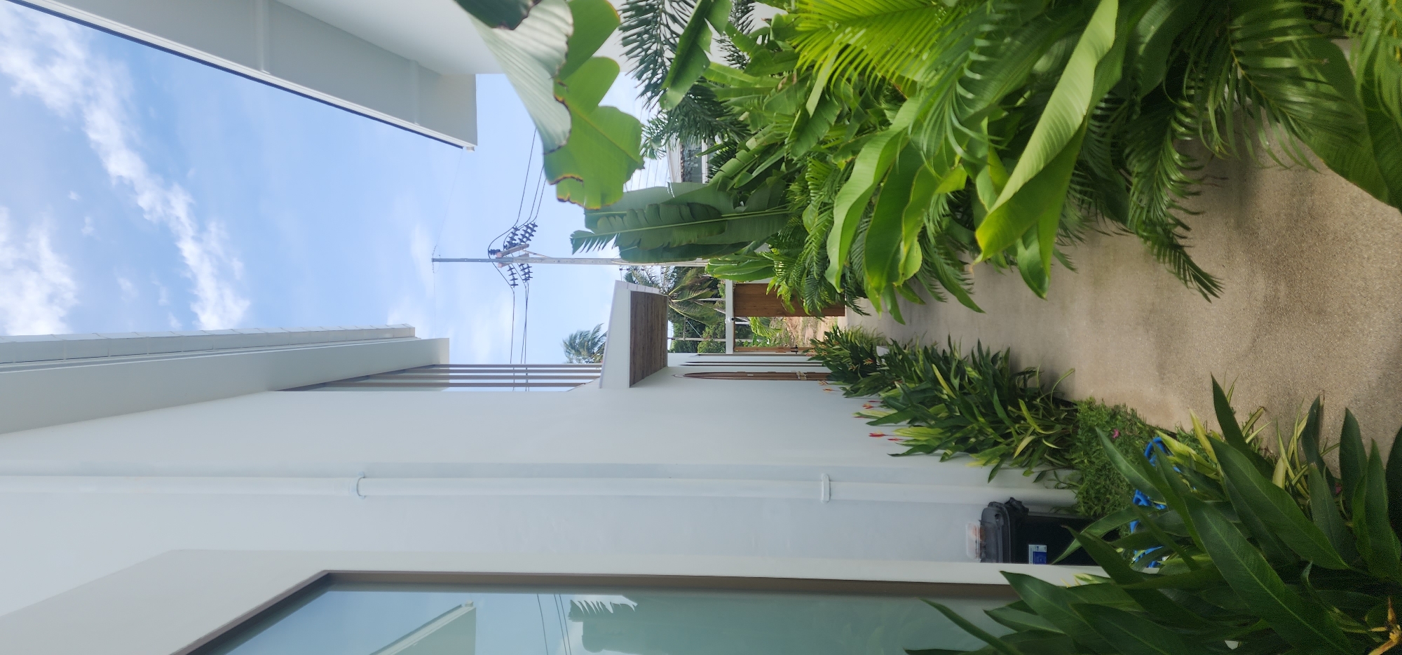 A concrete walkway curves between two white modern buildings and is lined with lush tropical foliage. On the left, a line of plants with red and yellow flowers stands in front of a white wall, next to a black trash bin. The right side of the walkway is dominated by large, vibrant green leaves of banana and palm trees. In the background, a wooden gate is visible, leading to an area with more greenery and palm trees. Utility poles with electrical wires are present against a bright blue sky with scattered clouds. The scene suggests a pathway in a tropical resort or residential area on Ko Samui District, Thailand.