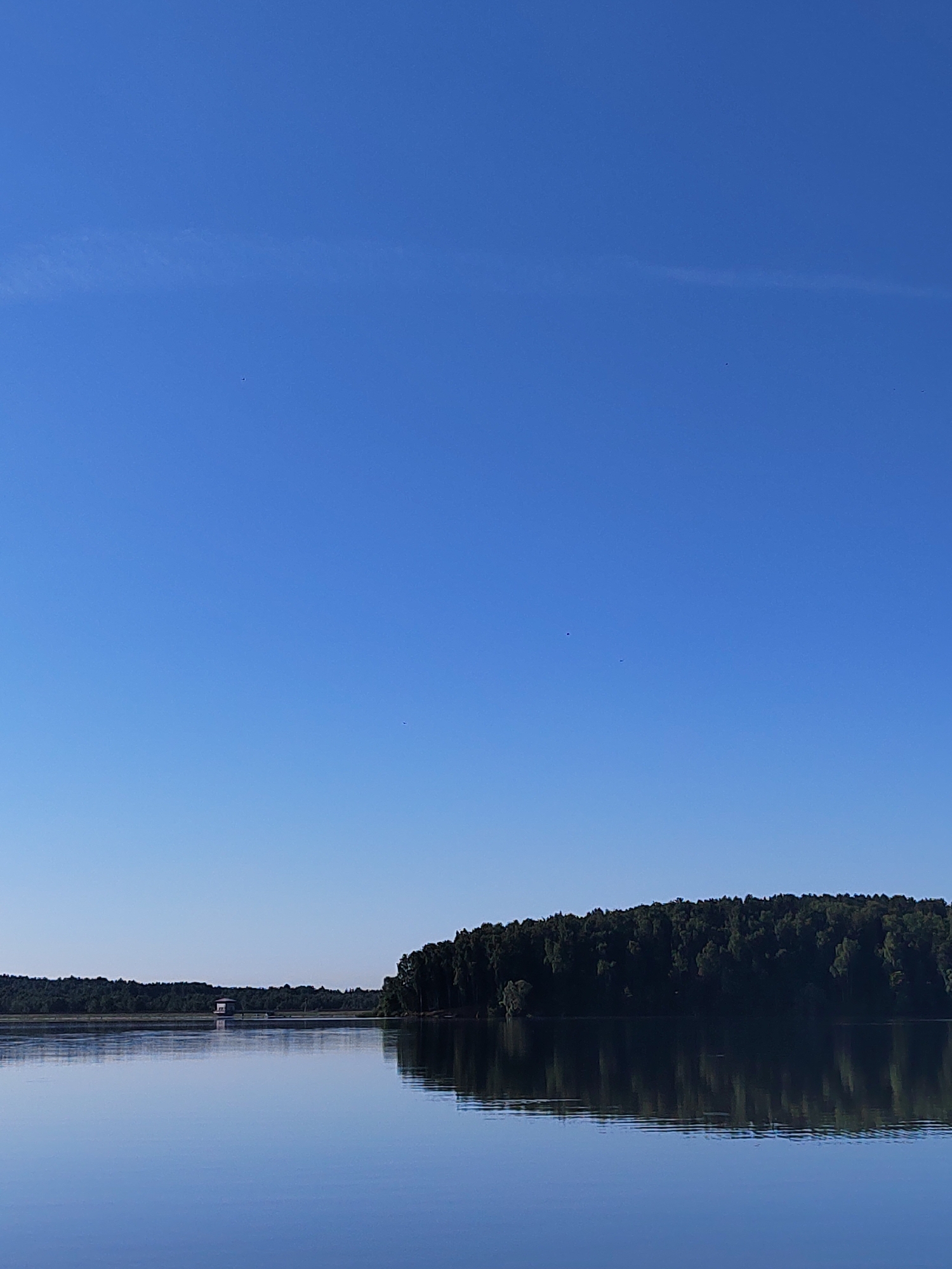 This is a scenic view of a calm body of water with a dense forest lining the opposite shore. The sky is a clear, bright blue with a few faint, wispy clouds visible in the upper portion. The water's surface is smooth and reflects the sky and the trees on the shore, creating a mirror-like effect. On the left side of the image, a small, white structure with a dark roof is visible on the shore, possibly a boathouse or observation post, situated amongst the trees. The forest itself is a dark green expanse of trees, creating a solid, unbroken line along the horizon. The overall impression is one of tranquility and natural beauty. The location is посёлок гидроузла имени Куйбышева, Russia.