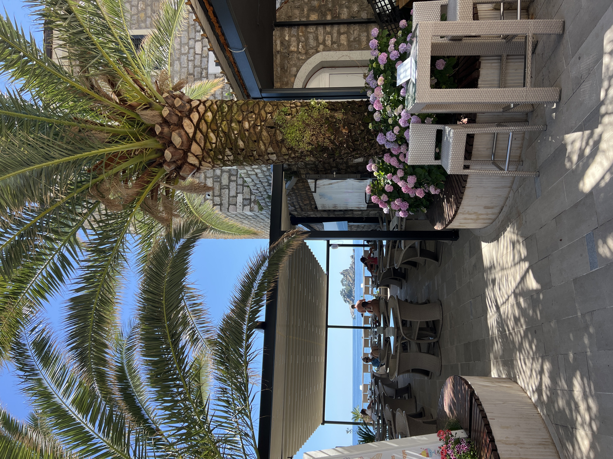 The image, correctly oriented, depicts an inviting outdoor restaurant or cafe terrace with a scenic view, set in what appears to be Petrovac centar, Montenegro. A large palm tree with a thick, textured trunk and lush green fronds dominates the left foreground, its leaves extending upwards against a clear blue sky. The sunlight filters through the fronds, creating intricate shadows on the paved ground.
Behind the palm tree, part of the building structure is visible, characterized by old stone walls and an arched doorway, suggesting traditional Mediterranean architecture. Adjacent to the building and along the terrace are large planters brimming with vibrant pink and purple hydrangea flowers, adding a decorative touch.
The main area features numerous outdoor tables and chairs, primarily made of a light-colored woven material, typical of patio furniture. Many of these tables are arranged under a large, retractable awning, providing shade for diners. Several people are scattered throughout the seating area; some are seated at tables, while others are standing, appearing to enjoy the atmosphere and the view.
Beyond the terrace, an expansive view of the bright blue sea stretches to the horizon. A distant rocky outcrop or island is visible on the far side of the water, enhancing the picturesque coastal setting. The scene is bathed in bright daylight, with distinct shadows cast by the structures and foliage, indicating sunny weather. The overall impression is one of relaxation and leisure in a beautiful seaside location. No significant legible text is visible, apart from a partially obscured sign in the foreground that might read "dogges."
