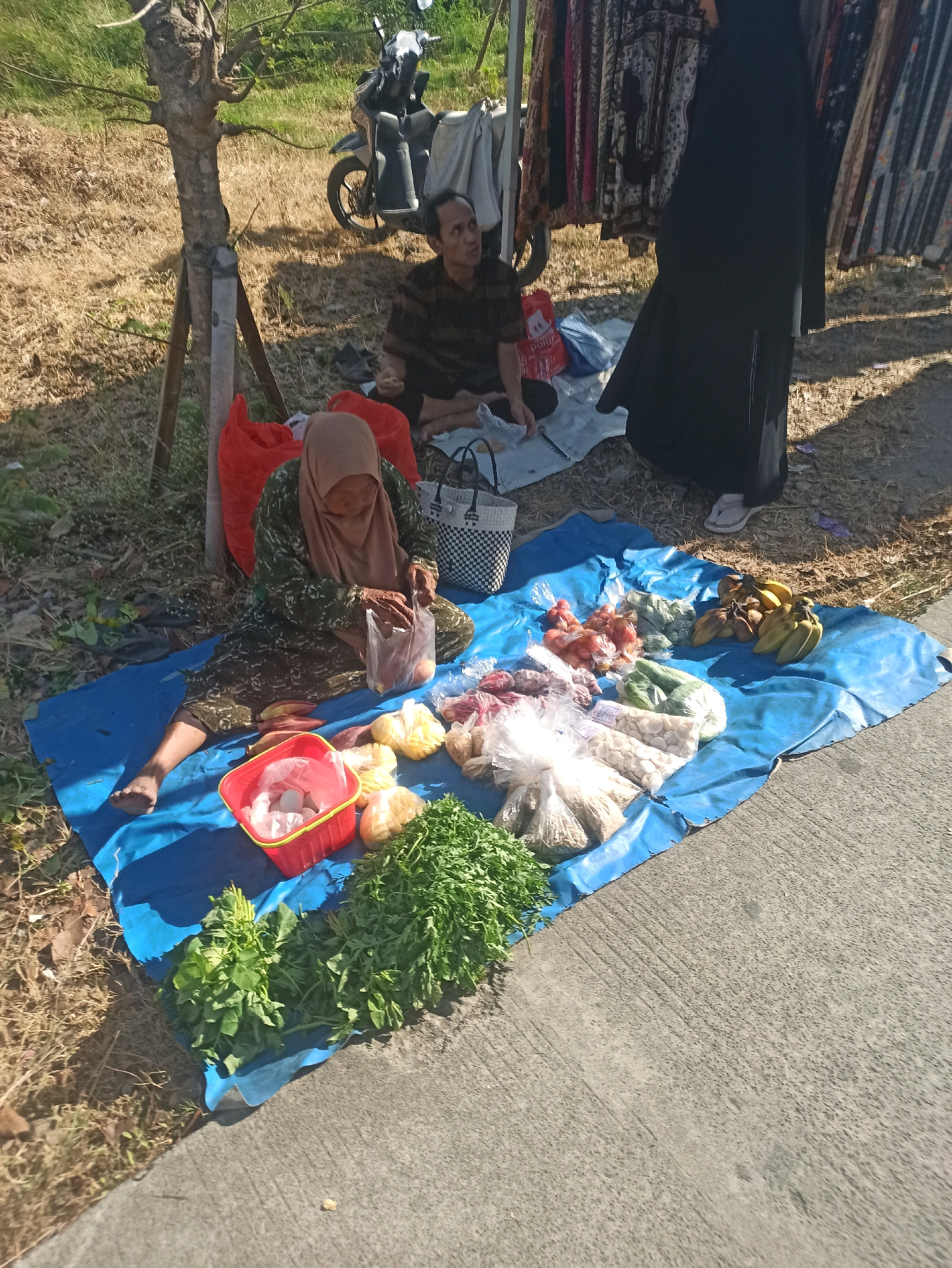 In Telagamurni, Indonesia, a scene unfolds at a roadside market. A woman, wearing a hijab and a patterned dress, sits on a blue tarp, busily preparing food. She is surrounded by an assortment of fresh produce, including bananas, tomatoes, cucumbers, and leafy greens, all displayed on the tarp for sale. To her left, a red plastic basket contains what appears to be eggs.
Nearby, a man in a striped shirt observes the surroundings, while a person in a long black garment stands behind a rack of colorful textiles, possibly another vendor or a customer. A motorcycle is parked in the background, suggesting a mode of transportation for the vendors or shoppers. The ground is a mix of dry grass and concrete, indicating an outdoor setting. The sunlight casts shadows, highlighting the texture of the ground and the items for sale, painting a picture of daily life and commerce in this Indonesian locale.