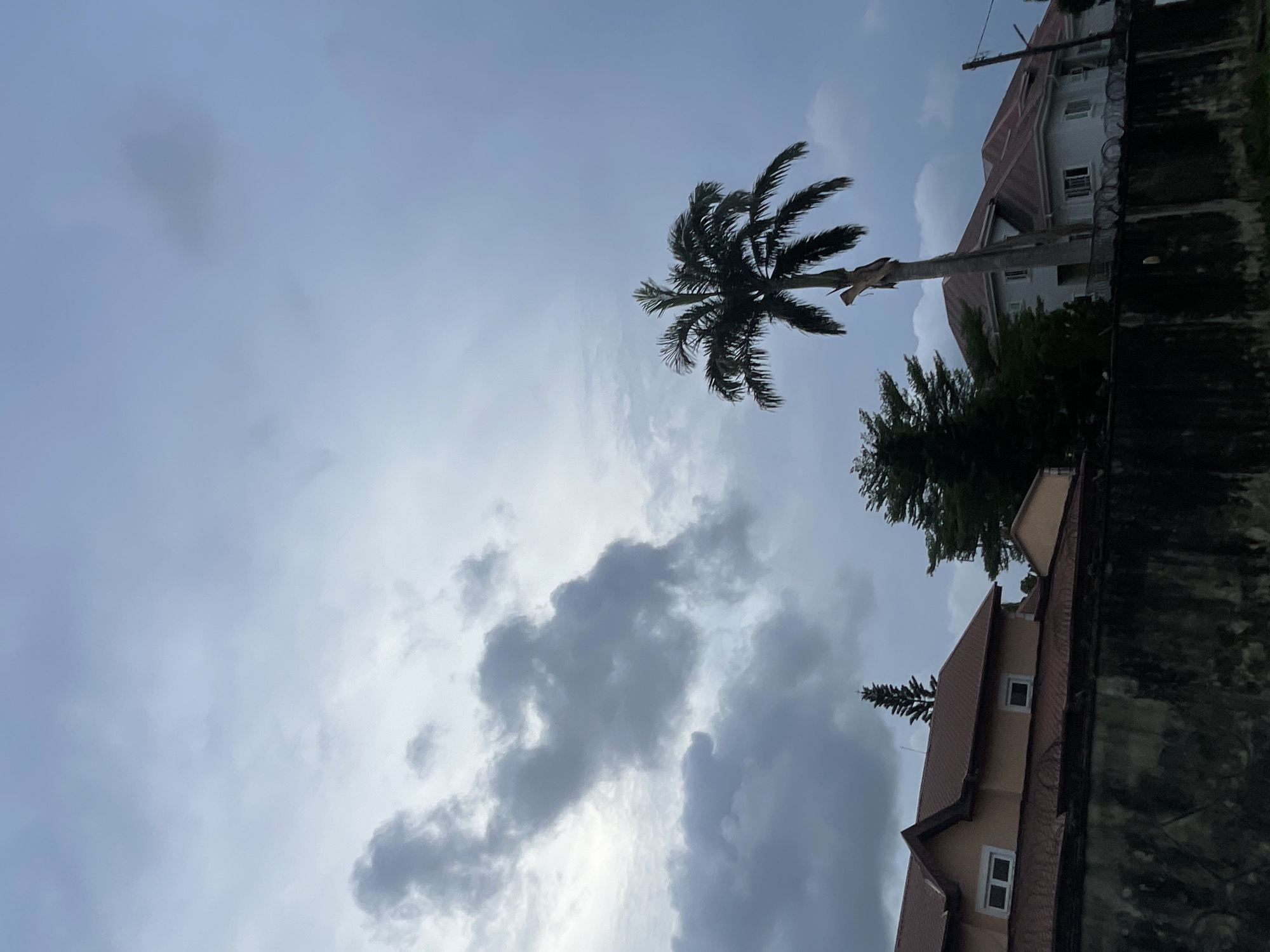 A daytime outdoor scene, oriented vertically, captures a partially cloudy sky above residential buildings and tropical trees. The sky is a blend of light blue-grey and darker, denser grey clouds, indicating an overcast or partly cloudy day with soft, diffuse lighting.
A tall, slender palm tree, with its dark fronds fanning out, stands prominently against the sky on the left side of the frame. To its right, a dense, conical evergreen tree is also visible.
On the right side, the upper sections and gabled, reddish-brown tiled roofs of at least two multi-story residential buildings are featured. The visible building has light-colored walls and several rectangular windows with white frames. A dark, textured wall or fence, possibly topped with security wire, borders the far right edge of the image. A utility pole or similar thin structure is partially visible extending vertically above the buildings.
The scene is static, depicting an urban or suburban landscape. The combination of palm trees, architectural style, and security features on the fence is consistent with residential areas in Lekki, Nigeria. No people or visible text are present in the image.