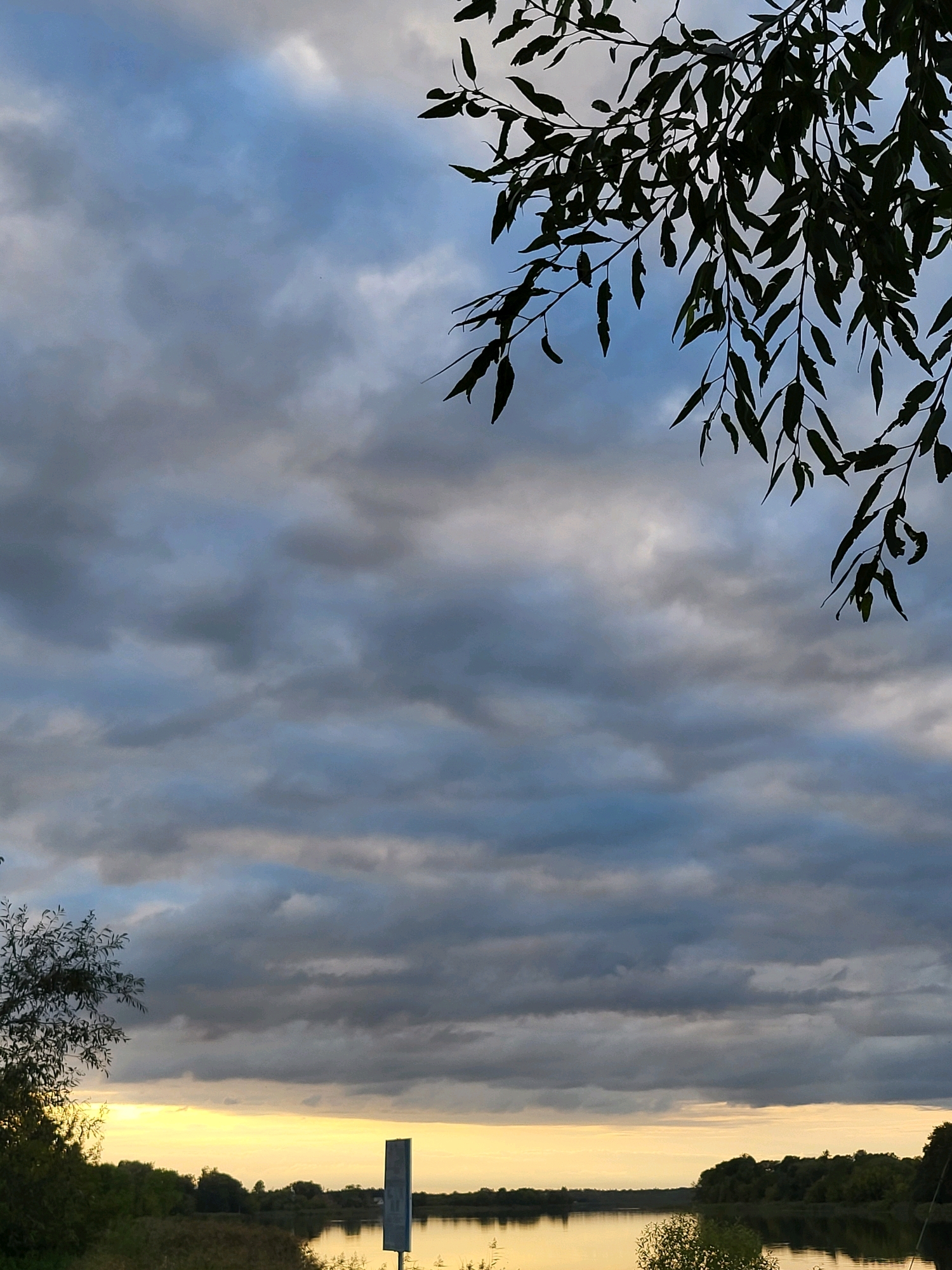 The image depicts a natural landscape scene, likely a body of water like a river or lake, bordered by vegetation. Dark clouds fill the sky, creating a dramatic, overcast atmosphere. In the foreground, branches with dark leaves hang from the top right of the frame, silhouetted against the sky. The horizon shows a strip of light yellow sky, suggesting either sunrise or sunset, with a dark line of trees on the opposite bank. There is a tall, thin, rectangular signpost partially visible on the right side of the image, standing in the vegetation near the water's edge. The overall impression is one of a serene, yet slightly moody, natural environment. The location is identified as Kalnciems, Latvia.