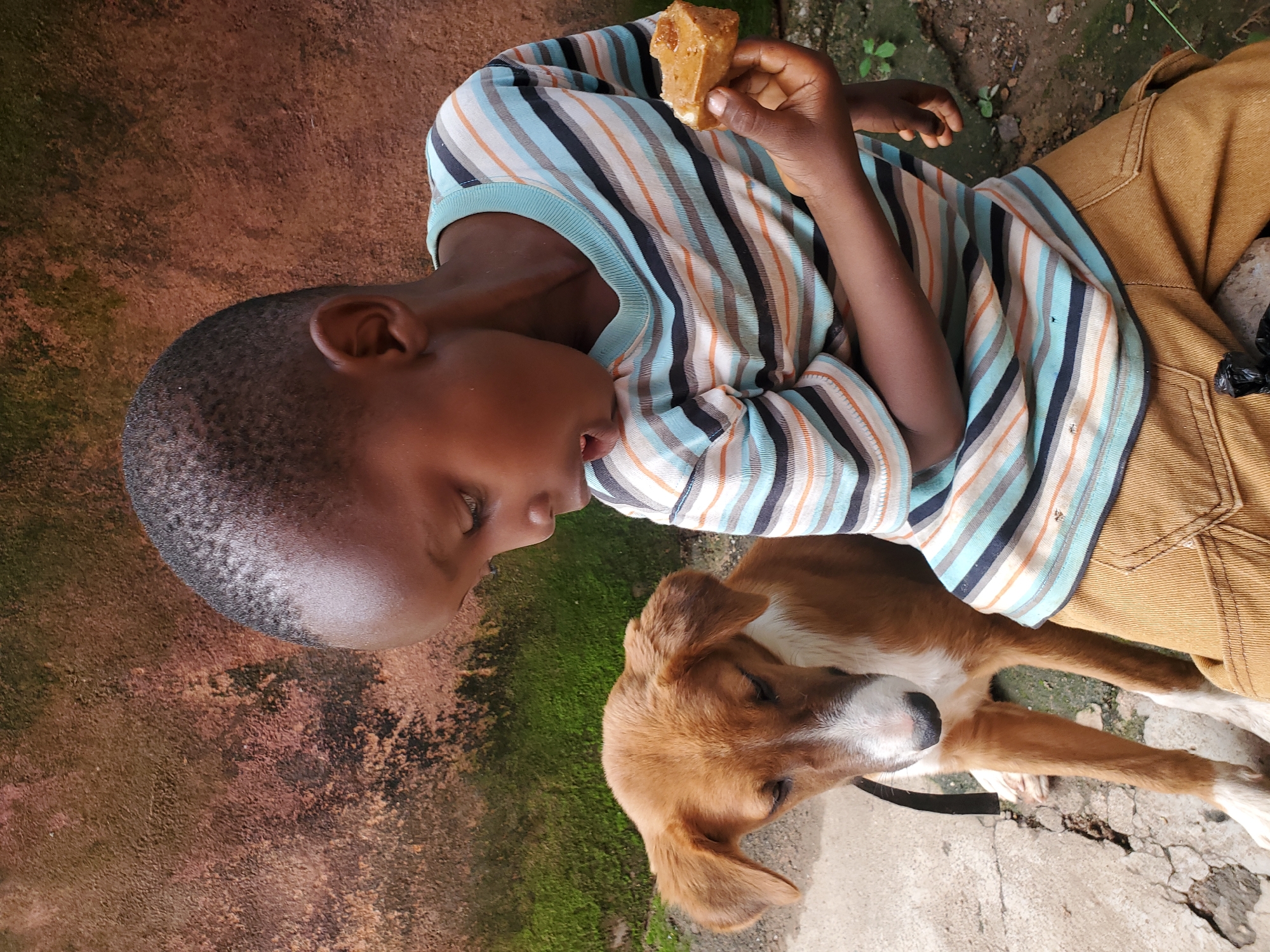 In an outdoor setting with a textured, reddish-brown wall behind, a young Black boy and a brown and white dog are the primary subjects. The boy, wearing a striped t-shirt and tan pants, is seated and looking downwards, holding a piece of food in his right hand. The dog, a medium-sized breed with floppy ears, is sitting next to him, also looking downwards, appearing to be attentive to the boy or the food. The ground is a mix of concrete and dirt with some sparse vegetation. The scene appears to be in Jos, Nigeria, suggesting a typical urban or semi-urban environment.