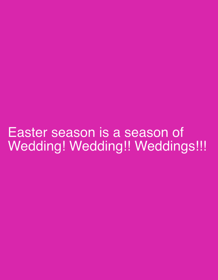 The image displays a plain pink background with the text "Easter season is a season of Wedding! Wedding!! Weddings!!!" in white font.