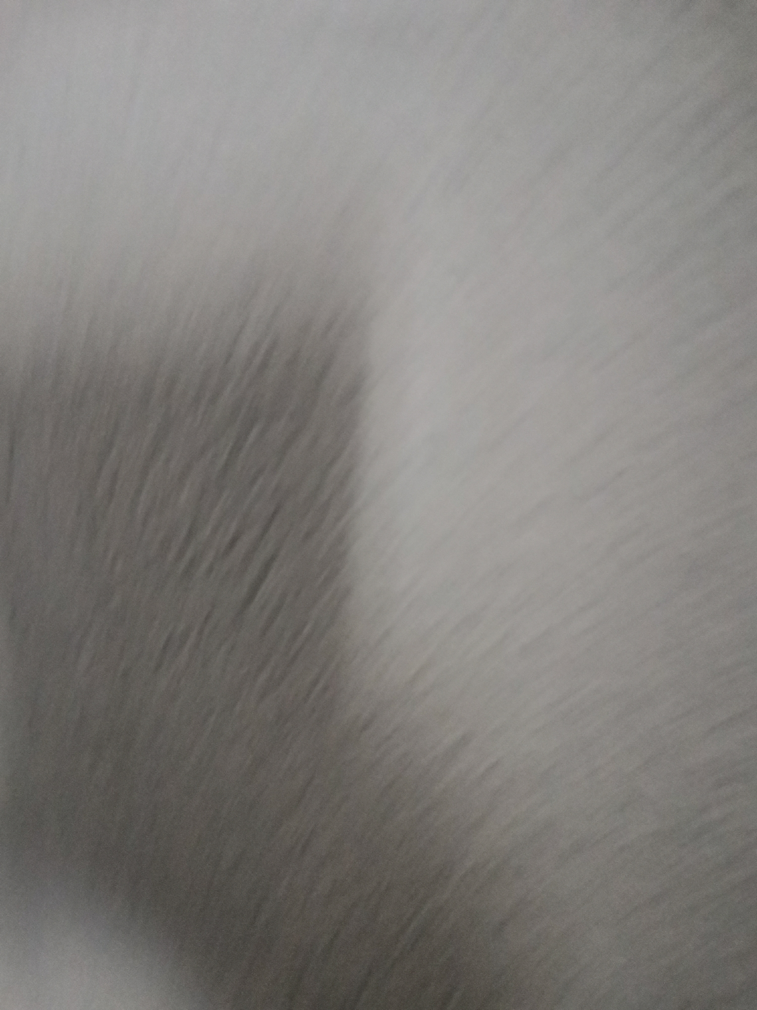 The image shows a blurry, close-up view of a soft, textured surface, possibly fur or fabric. The color is predominantly gray with variations in shade creating a sense of depth. No specific location or other objects are discernible within the frame.