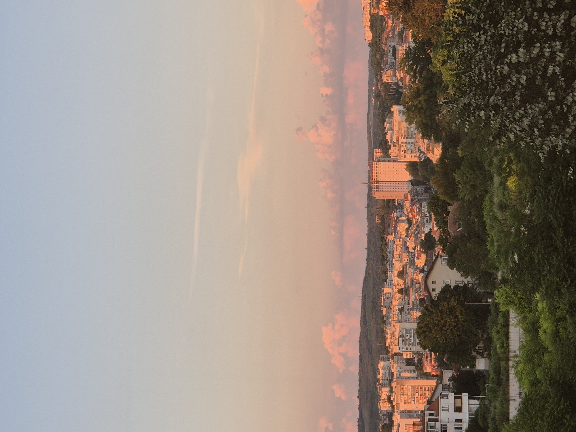 A vertical, medium-shot, high-angle photograph captures a cityscape bathed in the warm, golden light of sunset. The sky transitions from a pale blue at the top to a soft pink and orange hue closer to the horizon, with scattered clouds tinged with pink.
In the middle ground, a dense urban landscape unfolds, characterized by numerous buildings of varying heights and architectural styles. Many of these structures are mid-rise apartment buildings, exhibiting a predominantly light-colored facade. A prominent tall, rectangular building stands out amongst the others. The buildings are densely packed, creating a sense of an established urban environment. The setting sun casts long shadows and illuminates the buildings with a warm, orange glow, highlighting textures and details.
The foreground of the image is dominated by a lush expanse of green trees and foliage. These trees, with their rich green leaves, form a natural barrier between the viewer and the cityscape. Some of the trees appear to be deciduous, with dense canopies, while others are more scattered. A partially constructed concrete wall or barrier is visible at the very bottom of the frame, suggesting ongoing construction or development in the immediate foreground.
The overall scene depicts a serene urban panorama during the golden hour, with a juxtaposition of natural elements and man-made structures. The lighting suggests a late afternoon or early evening setting, enhancing the atmospheric quality of the image.