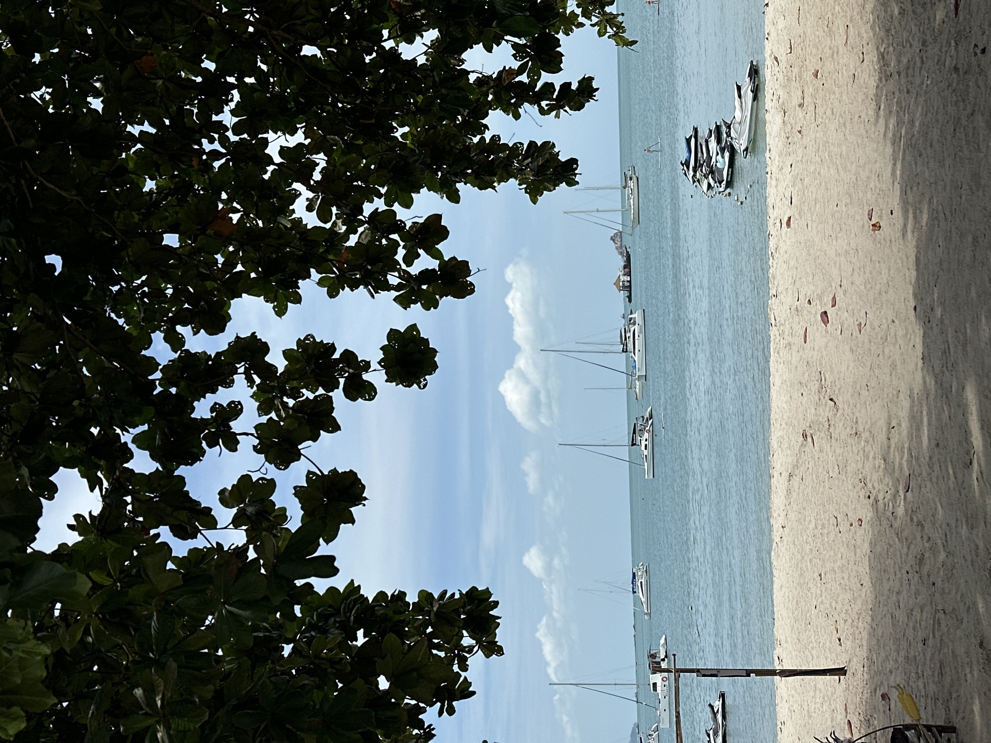 An outdoor, eye-level, vertical medium shot captures a serene beach scene on Ko Samui, Thailand. In the foreground, a sandy beach is dotted with fallen leaves. A thin wooden post stands upright on the left side of the frame, casting a shadow on the sand.
The middle ground is dominated by the calm, blue ocean, reflecting the sky. Several white catamarans and sailboats are anchored or gently drifting on the water. On the right side of the ocean, a row of parked jet skis is visible, with one jet ski floating slightly apart. A person on a paddleboard is seen in the distance on the water, near the jet skis.
The background features a hazy sky with scattered white clouds. The top portion of the image is framed by the dark green foliage and branches of a large tree, creating a natural canopy that dapples the scene with shadows. The overall atmosphere is tranquil and idyllic, indicative of a tropical coastal setting.