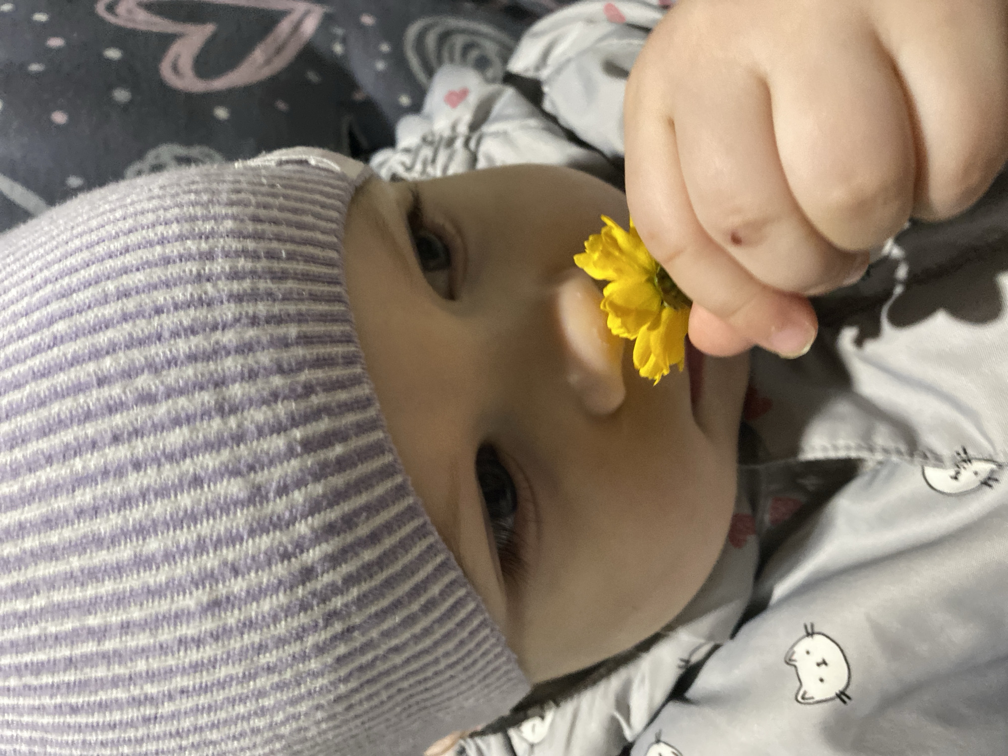A baby with a purple and white striped hat is lying on a bed with a gray blanket that has a pattern of cats and hearts. A yellow flower is being held near the baby's nose by a small hand. The location is unknown.