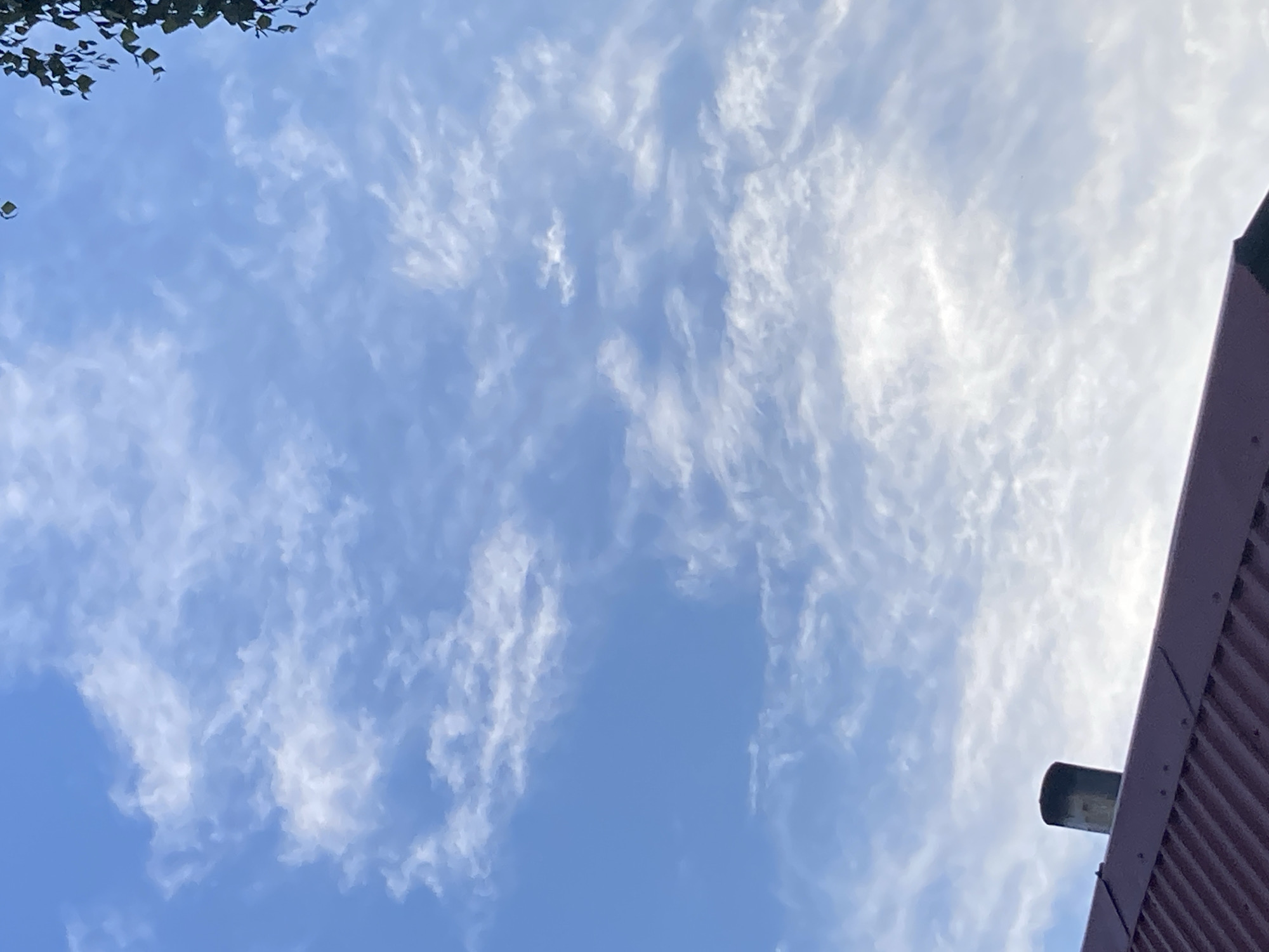 The image shows a bright, clear blue sky with wispy, white clouds scattered across it. The clouds appear thin and feathery, suggesting a breezy day. In the upper left corner, a few dark green leaves from a tree are visible, their branches reaching into the frame. On the right side of the image, a portion of a building's roof is visible. The roof is made of corrugated metal and is a reddish-purple color. A dark, cylindrical vent pipe protrudes from the roof. The overall scene depicts an outdoor setting on a pleasant day. The lighting suggests it is daytime, likely late morning or afternoon. There are no people or animals visible in the image. No text is present.