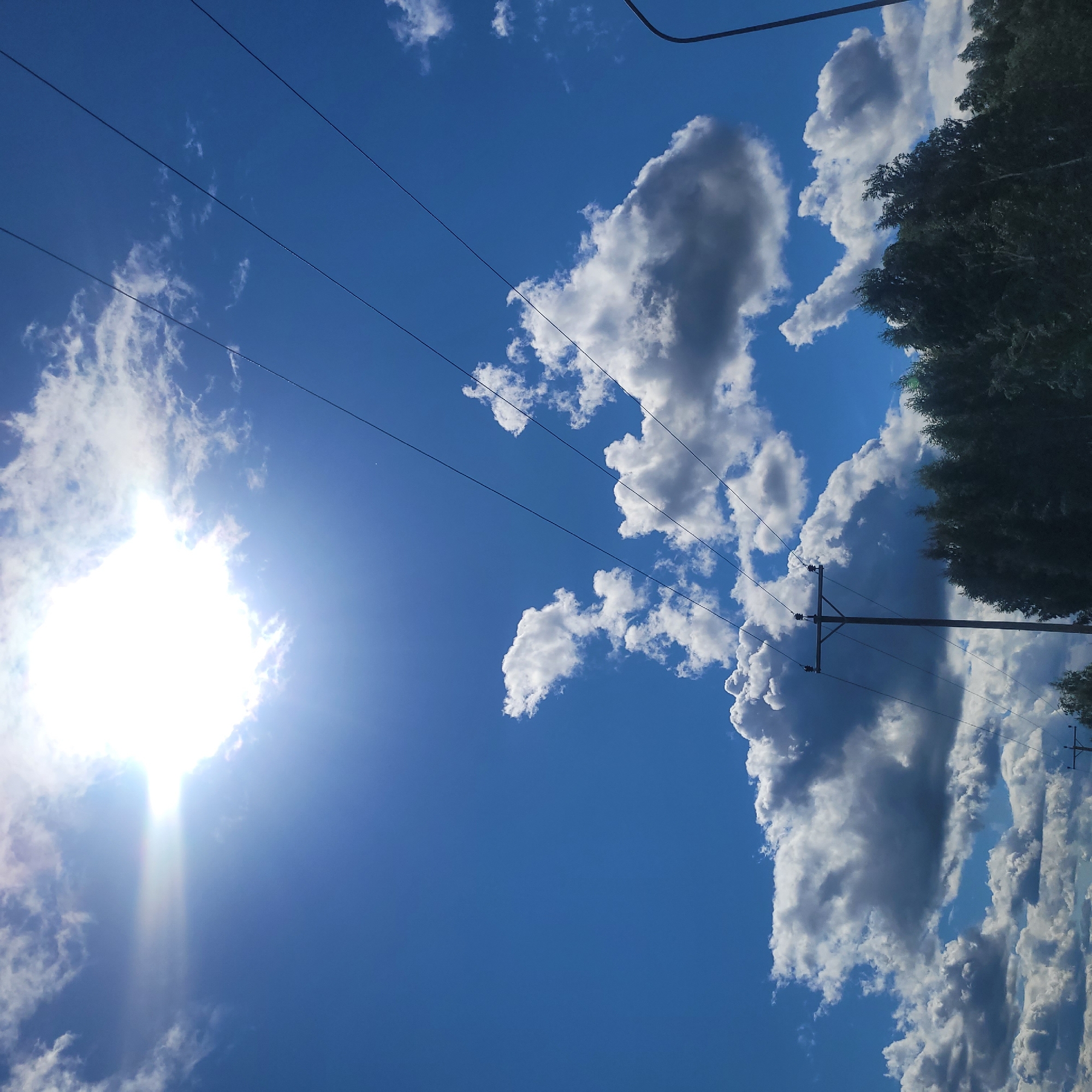 The image depicts a bright, sunny day with a vibrant blue sky in Ķekava, Latvia. The sun, appearing as a bright white orb, is positioned in the upper left quadrant of the frame, partially obscured by wispy white clouds. Several dark power lines stretch diagonally across the sky from the upper right to the lower left. In the mid-ground, a solitary wooden utility pole stands vertically, supporting some of the power lines. Below the power lines and pole, a dense line of dark green trees forms the lower edge of the scene. A dark street light pole is partially visible on the far right side of the image, suggesting an urban or semi-urban environment within Ķekava. The overall impression is one of a clear day with infrastructure elements present.