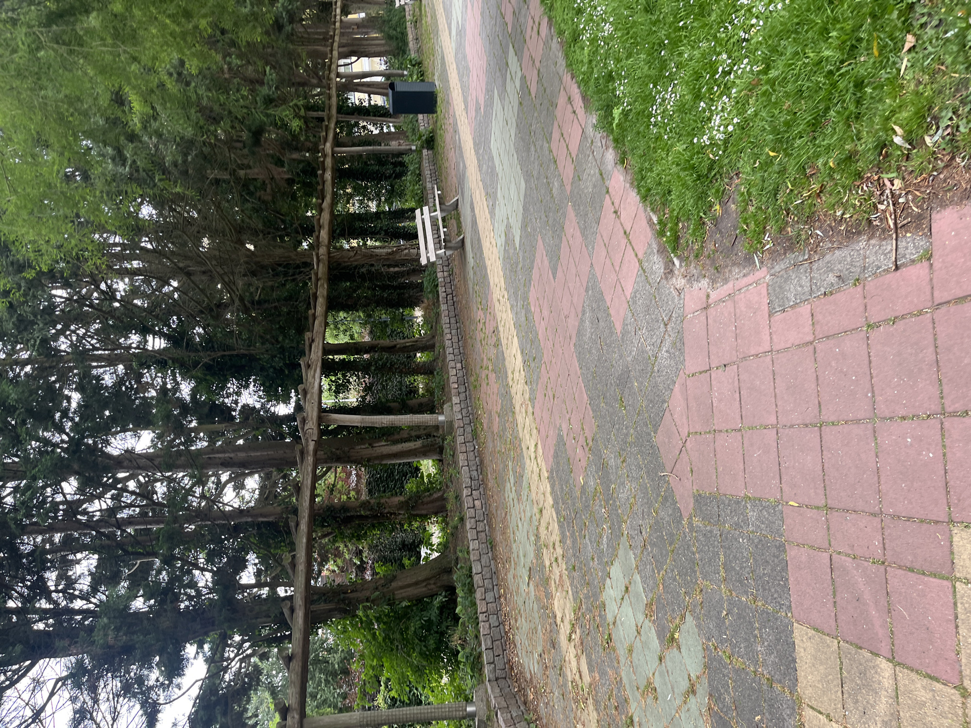 A park scene, featuring a paved pathway made of interlocking pink, green, and gray square tiles. A wooden pergola structure runs along the left side of the pathway, supporting green foliage and tall trees. A white park bench is situated on the pathway, accompanied by a dark green trash receptacle to its right. The pathway is bordered by a low stone wall on the left and a grassy area with small white flowers on the right. The overall setting suggests an outdoor public space within a city, though the specific location is unknown.