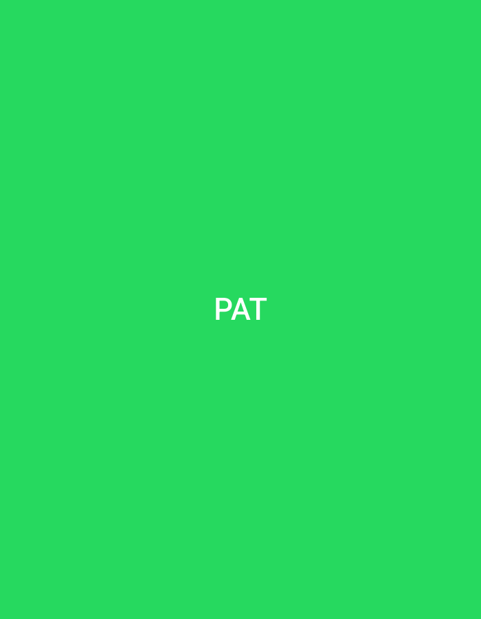 The image displays a solid, uniform green background. Centered horizontally and vertically within this green field is the word "PAT," rendered in uppercase white sans-serif letters. No other visual elements, figures, objects, or environmental details are present. This image is presented in the context of the city of Casablanca, Morocco.