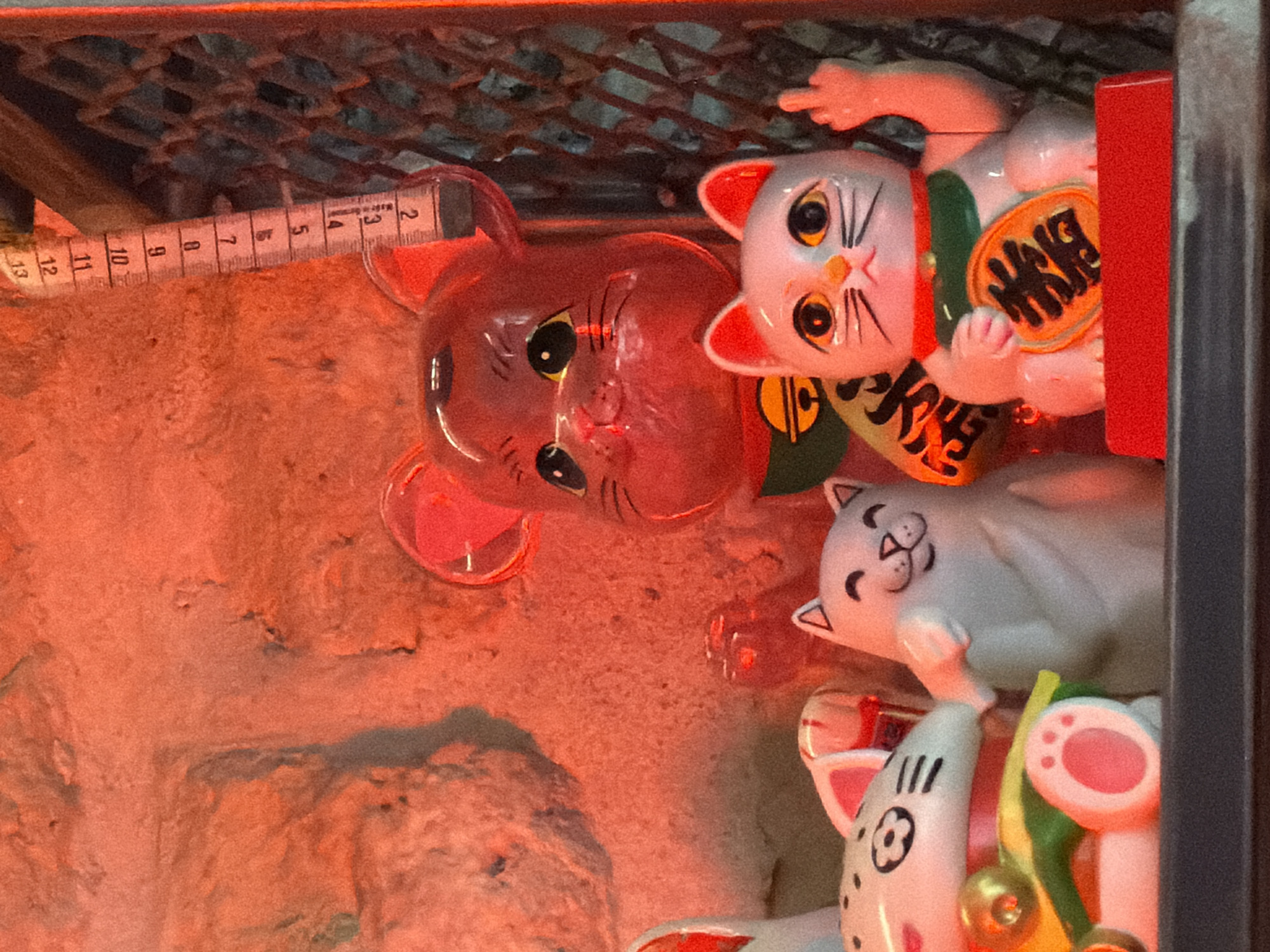 The image depicts a close-up view of several Maneki-neko (beckoning cat) figurines placed within a display case, likely in a shop. The lighting appears reddish-orange. A pink bear figurine also rests among the cats. A measuring tape rests behind the red bear figurine. The environment looks cramped, with parts of a grid-like structure visible in the upper portion of the frame. The location of this scene is in Paris, France.