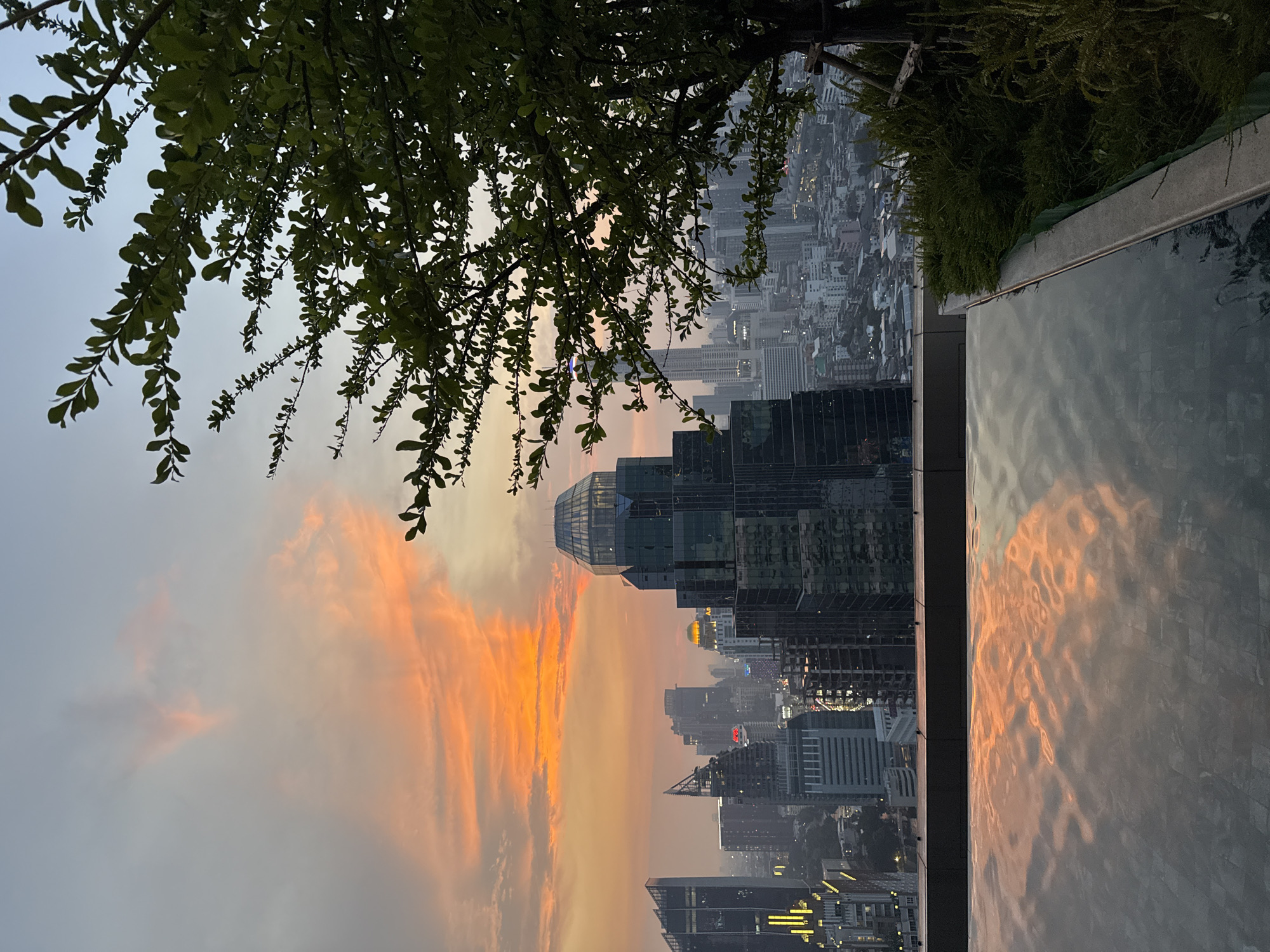 An outdoor rooftop view of Bangkok, Thailand, at sunset, featuring a cityscape with skyscrapers and orange-hued clouds reflecting in the water of an infinity pool in the foreground. A tree branch with green leaves hangs in the upper left, while a patch of green vegetation is on the upper right corner.