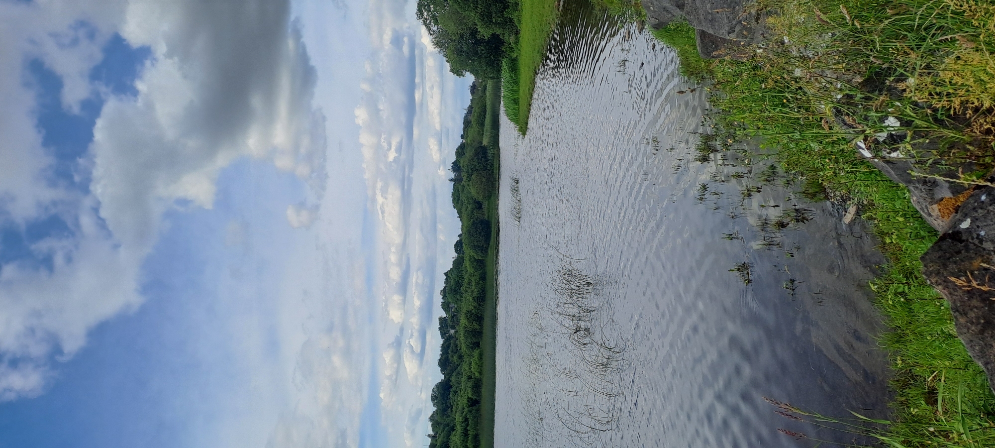The image depicts a calm lake surrounded by lush green trees and vegetation, under a sky with scattered white and gray clouds. The foreground shows a rocky bank with tall grass and some visible debris. The water surface is rippled, reflecting the sky and the surrounding greenery. The scene appears to be a natural landscape, possibly a park or a recreational area within or on the outskirts of Castlebar, Ireland, given the mention of the city. There are no people or animals visible in the frame. The overall atmosphere is serene and natural.