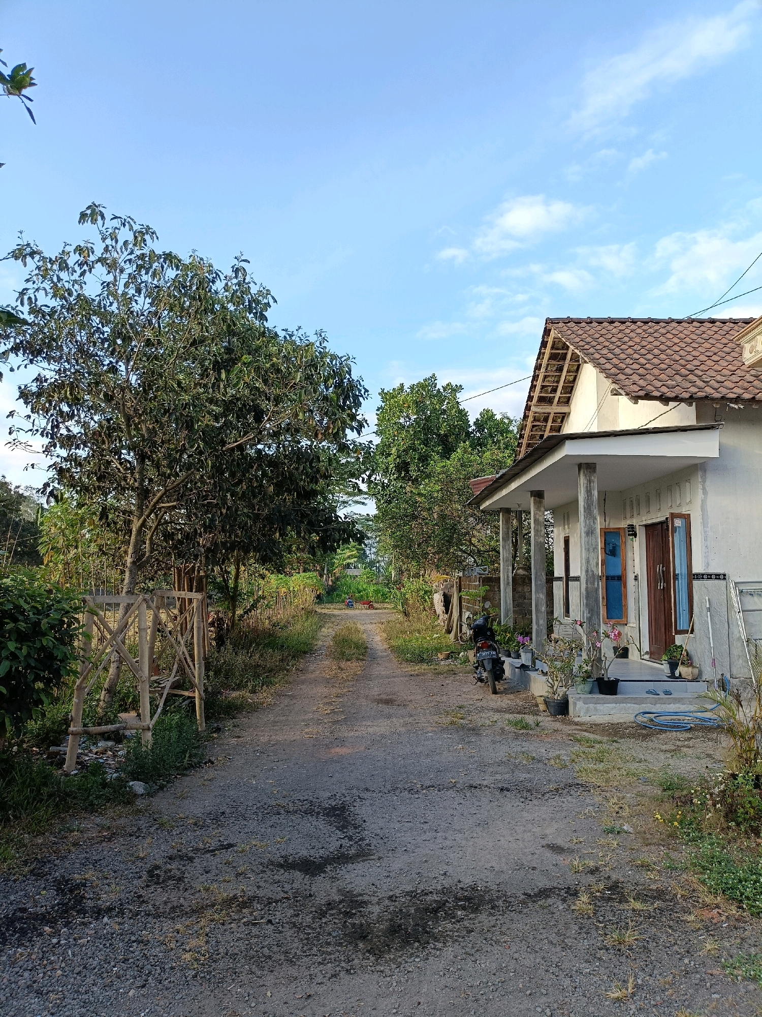 The image shows a rural road in Tamanan, Indonesia, leading towards a house. The road is unpaved and made of gravel and dirt, with some dark patches suggesting recent moisture. On the left side of the road, there is a large tree with dense green foliage and a bamboo structure that appears to be a fence or support. Various other trees and vegetation line the road. On the right side of the road is a single-story house with a tiled roof, a porch supported by pillars, and brown wooden doors and windows. A motorcycle is parked on the porch, along with several potted plants. The sky is blue with scattered white clouds. The overall scene depicts a residential area in a tropical, possibly agricultural, setting during daylight hours, with the sun casting gentle light. There are no people visible in the image.
