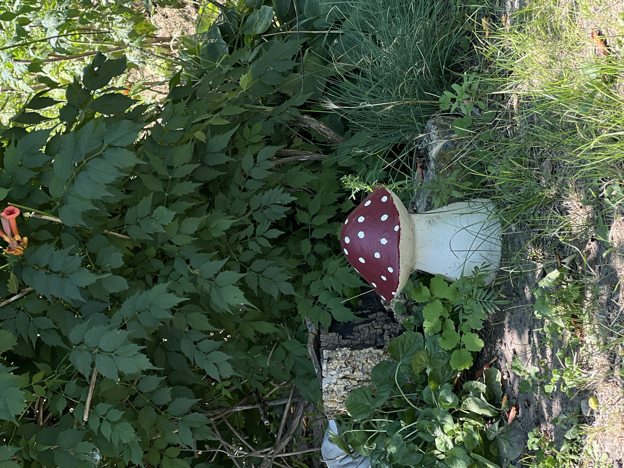 This image depicts a decorative garden mushroom, painted red with white spots, placed in a grassy area with various plants and a tree stump. The mushroom is the focal point, positioned in the lower center of the frame. Behind it, dense green foliage forms a natural backdrop. To the left of the mushroom, a weathered tree stump is visible, partially covered by broad green leaves. The ground is a mix of soil and grass, with some fallen leaves. In the upper right portion of the image, a hint of an orange flower can be seen peeking through the leaves. The overall scene suggests an outdoor garden setting. The location is not specified within the image.