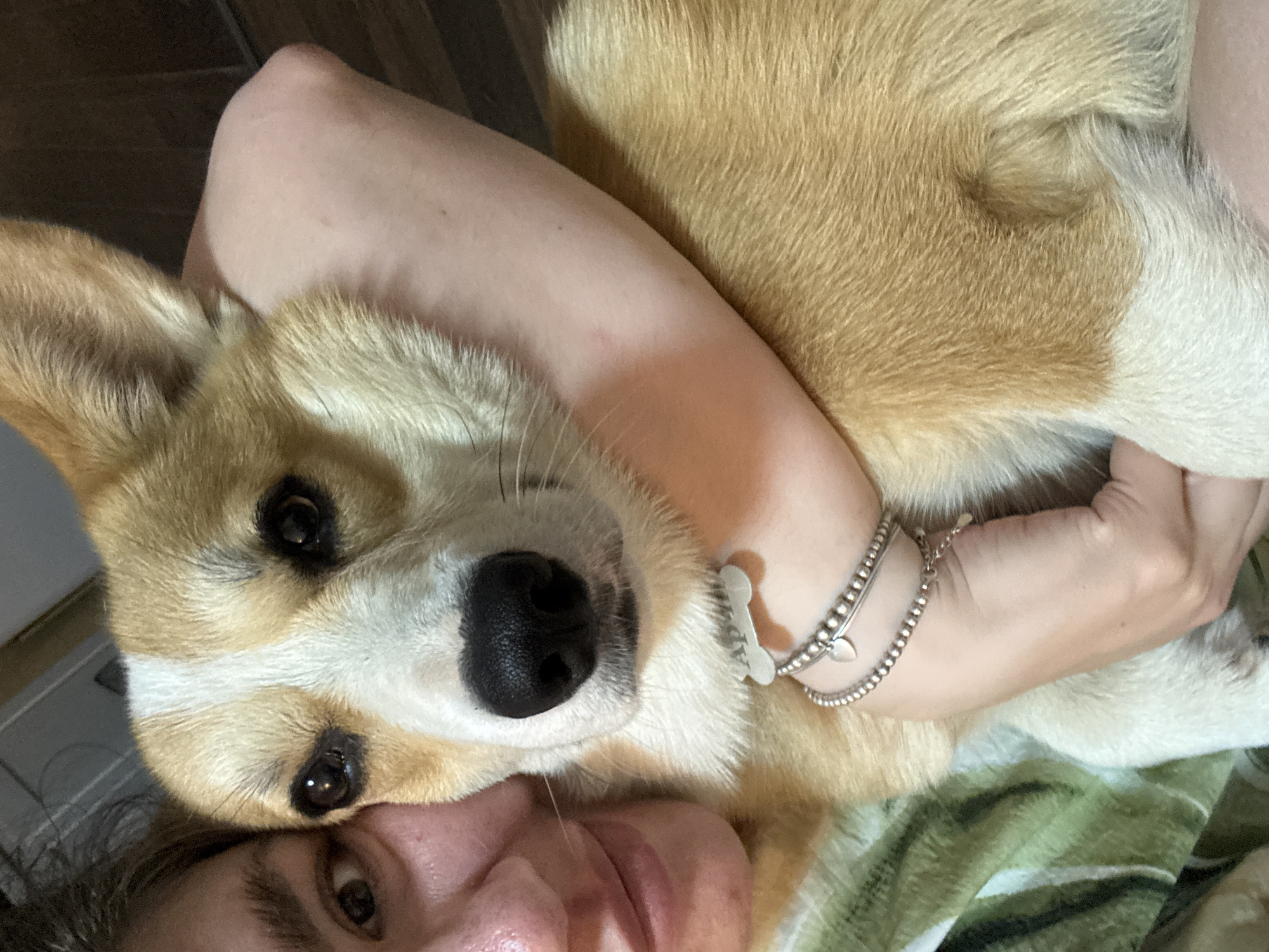 A person is lying on a green and white patterned surface with a Corgi dog lying on top of them. The dog has brown and white fur and is facing the camera with a large black nose. The person's face is visible beneath the dog, with their eyes open and looking at the camera. The person is wearing a silver bracelet with a bone-shaped charm. The background is blurred, showing a wooden wall and a door. The location is unknown, and there is no information to suggest it is Votkinsk, Russia.