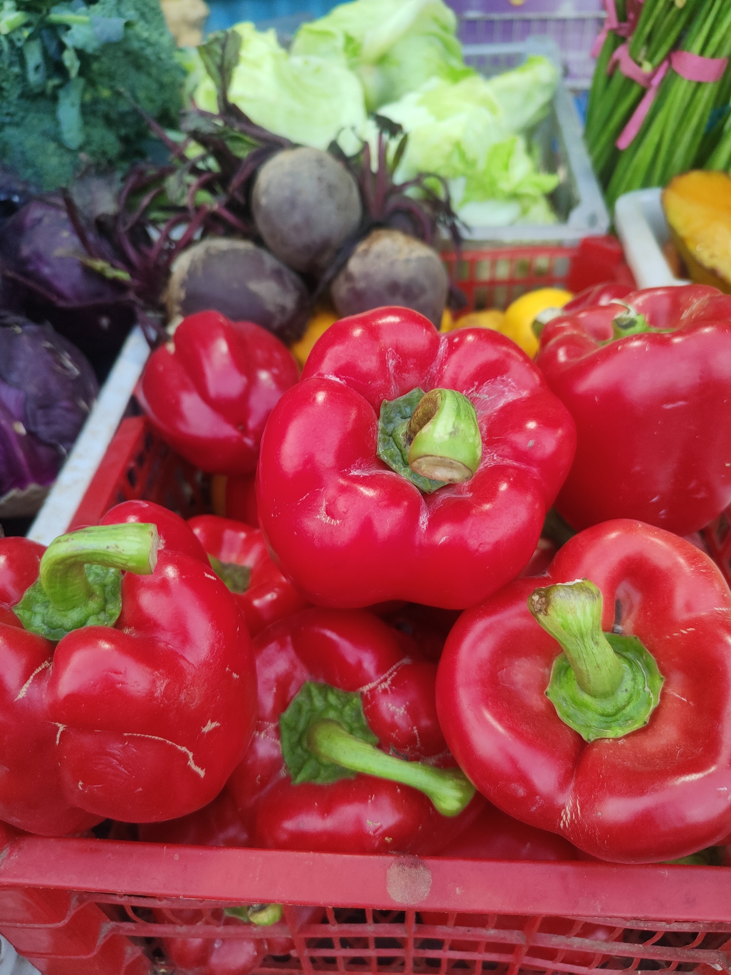 In the city of Kauman, Indonesia, a close-up, top-down view captures a vibrant display of fresh produce. The foreground is dominated by a bright red plastic crate overflowing with glossy red bell peppers. Several peppers are in sharp focus, showcasing their plump, slightly wrinkled surfaces and green stems. Behind the peppers, a glimpse of other vegetables can be seen, including beets with their dark purple skins and green tops, leafy green vegetables like lettuce, and possibly broccoli. The overall impression is one of abundance and freshness, suggesting a market or grocery store setting.