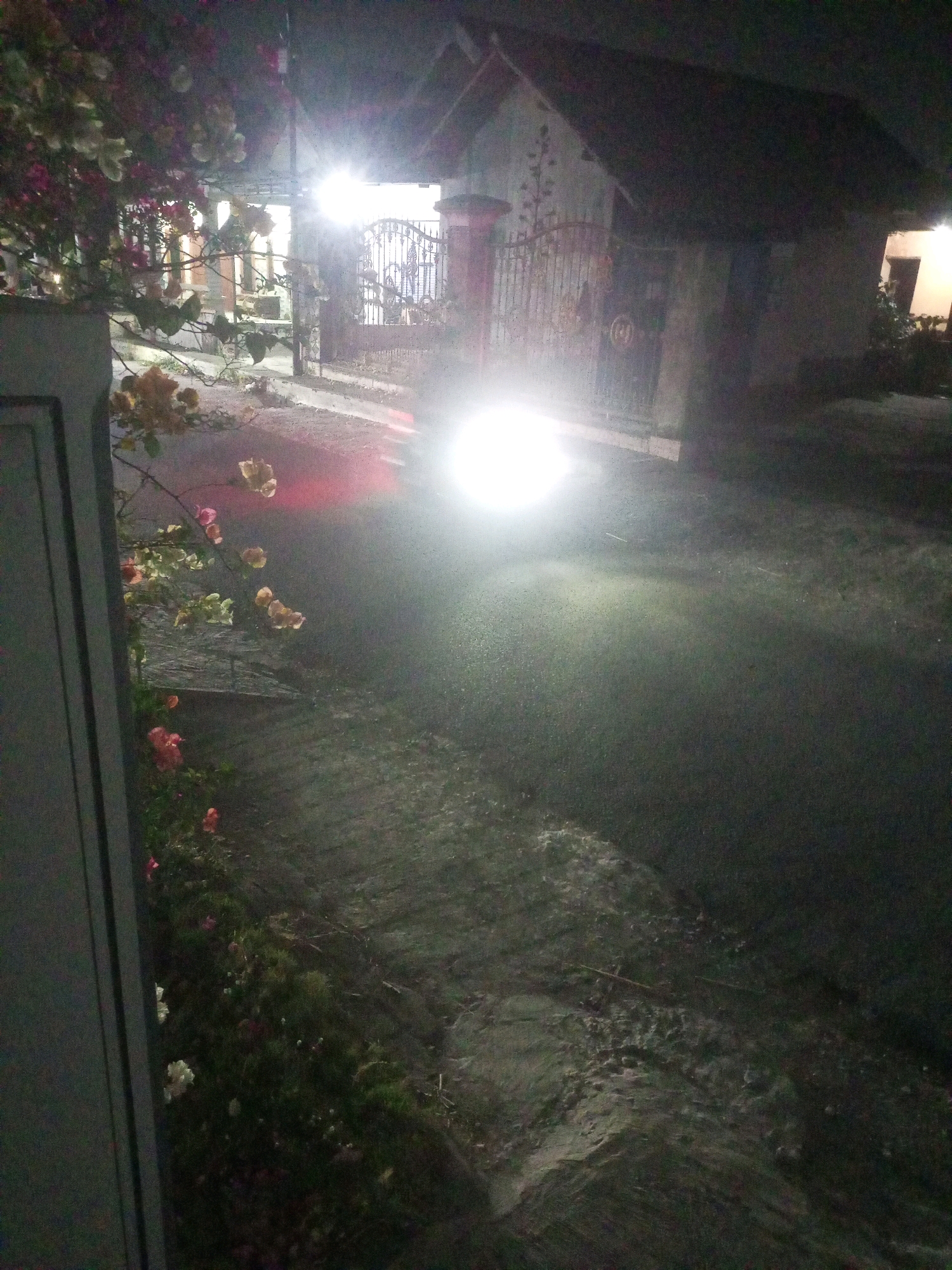 In Ngasem, Indonesia, at night, a motorcycle's bright headlight illuminates a paved road, casting a strong glow that obscures the surrounding details. The road appears wet, possibly from recent rain, and has patches of lighter-colored material, possibly sand or gravel, along its edge. To the left, a dark, vertical structure, possibly a fence or wall, is visible. Beyond the road, a gated entrance to a property is seen, with a building faintly visible behind it. The gate is ornate and appears to be made of metal. In the foreground, to the left of the road, there is a bush or small tree with numerous flowers in various stages of bloom, displaying colors of pink, white, and yellow. The overall scene suggests a quiet residential street at night, disturbed by the passing of a vehicle.