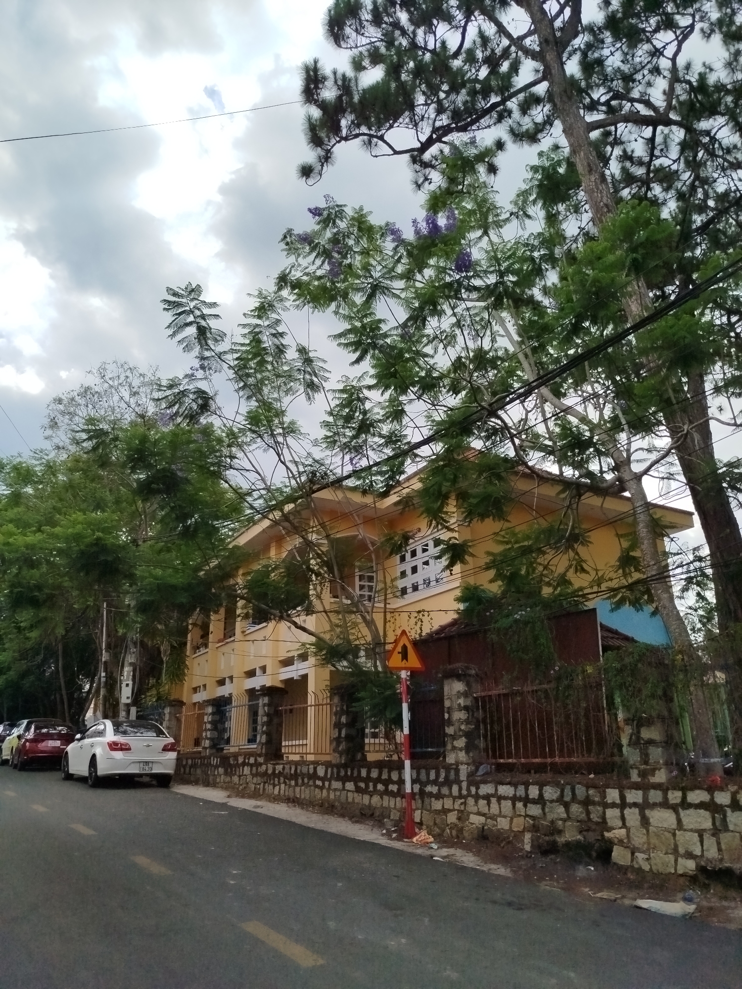 The image depicts a street scene in Da Lat, Vietnam. A yellow two-story building is situated behind a stone wall and a rusty metal fence. Several trees with green foliage and some purple flowers partially obscure the building. Overhead wires are visible in the tree branches. On the left side of the road, there are two parked cars, one white and one red. A traffic warning sign with a red and white striped pole stands near the fence. The road surface is dark and marked with yellow lines. The sky is overcast with cloudy conditions.