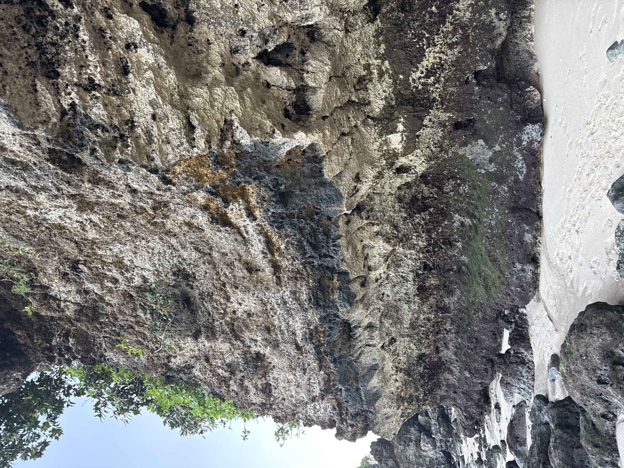 The image depicts a rocky cliff face at the edge of a sandy beach. The cliff is layered with various shades of gray, brown, and black rock, with some areas appearing porous and eroded. Green foliage is visible growing on the upper portion of the cliff. The foreground shows a sandy beach with scattered dark rocks, some of which are covered in green moss. The water level is low, revealing wet sand in between the rocks. The sky is clear and pale blue. The scene is located in Kuta Selatan, Indonesia, suggesting a coastal environment. There are no people or animals visible in the image, and no discernible actions or interactions are taking place. The environment appears natural and undisturbed.
