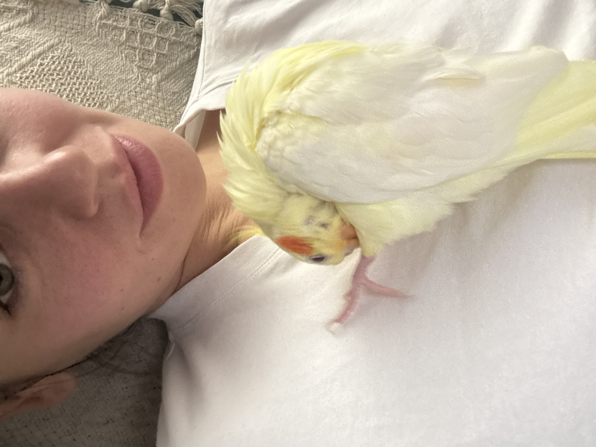 A woman lies on her back, her face visible on the left. A cockatiel sits on her chest. The cockatiel is mostly white with yellow wings and a red cheek patch. The woman wears a white shirt. The background includes a textured blanket or throw. There is no indication of this scene taking place in Krasnoyarsk, Russia.