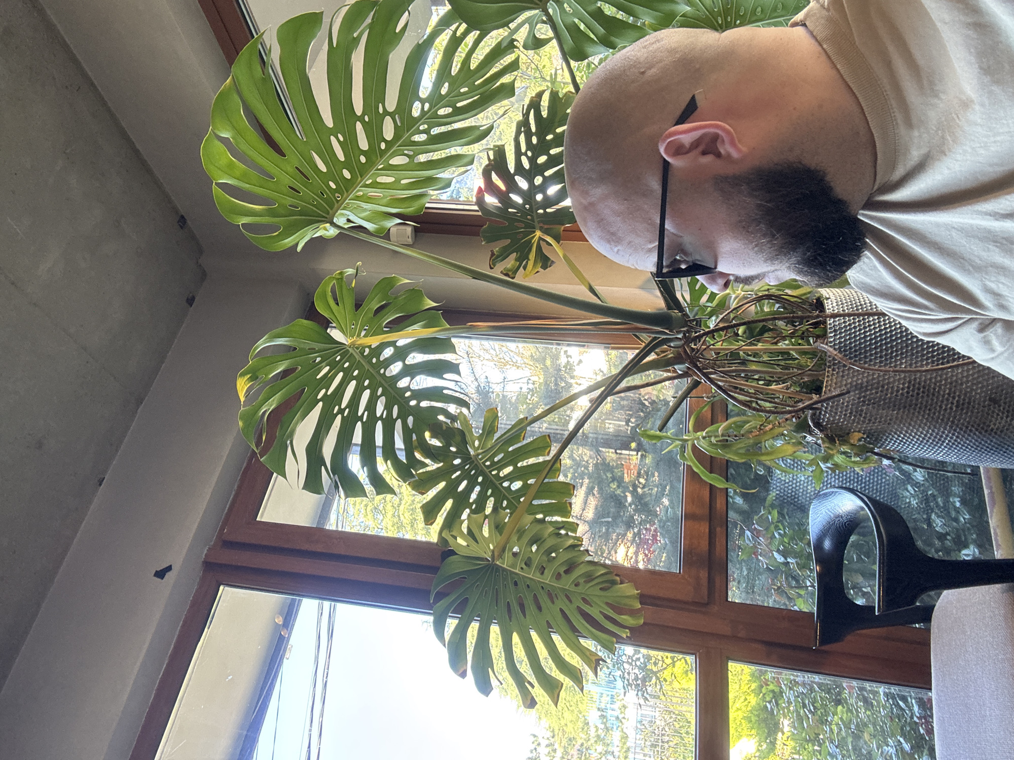 A high-angle medium shot captures a man, a Monstera plant, and a window view in Krasnaya Polyana, Russia.
The man is positioned to the right of the frame, his bald head and beard visible. He wears glasses and a light-colored shirt.
The Monstera plant is large and leafy, with several prominent leaves showing the characteristic splits and holes. The plant is potted in what appears to be a textured, possibly metallic, container.
The view through the window reveals trees and greenery, suggesting an outdoor setting in Krasnaya Polyana, Russia. The window frame is wood. A black object resembling a chair or stand is partially visible near the right side of the frame. The environment appears to be indoors, with natural light streaming through the window.