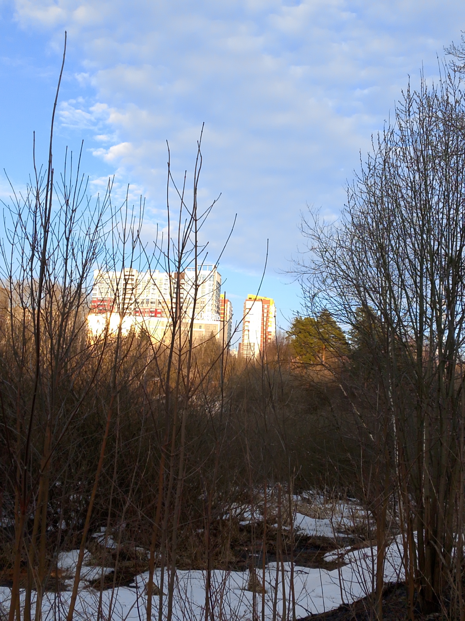 The image depicts a winter or early spring scene in Izhevsk, Russia, with patches of snow remaining on the ground. Bare trees and shrubs dominate the foreground, partially obscuring the view of buildings in the background. The buildings appear to be residential apartment complexes, with white facades and some colored panels. The sky is light blue with scattered clouds. There are no people visible in the image.