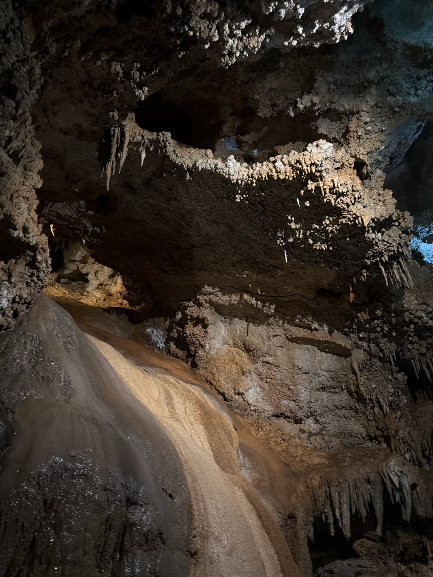 The image shows the interior of a cave, likely a tourist attraction, with numerous stalactites hanging from the ceiling and stalagmites forming on the floor, characteristic of karst topography. The cave walls are rough and textured, with areas illuminated by artificial light, highlighting the formations. A smooth, flowing surface, possibly a flowstone formation, is visible in the lower left, coated in what appears to be dark, wet sediment. The overall impression is one of a natural, subterranean environment shaped by water and mineral deposits over a long period. The location is the Lipa Cave in Lipa Dobrska, Montenegro. There are no people or animals visible in the image.