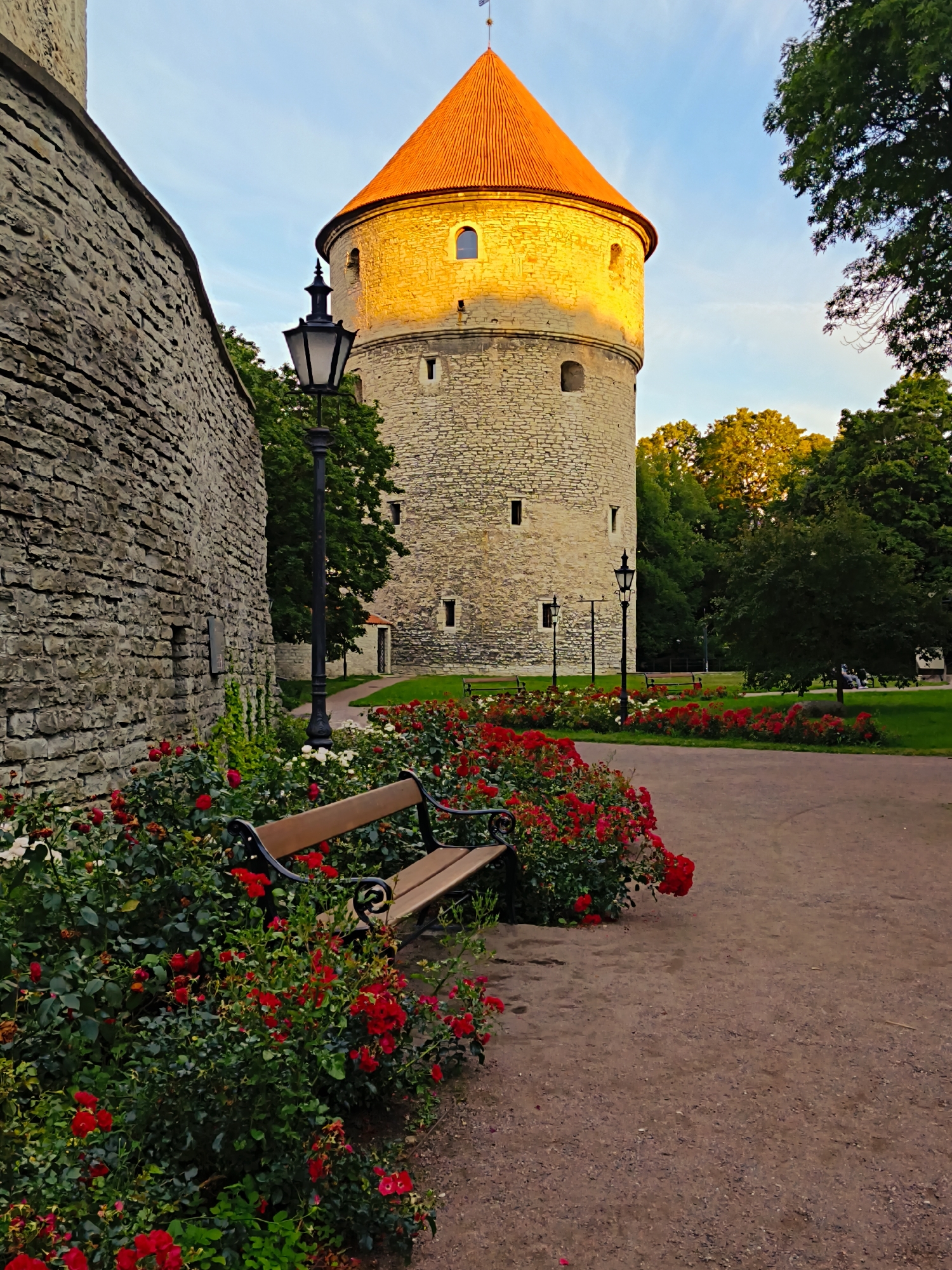 This is an eye-level, medium shot photograph of a historic tower in Tallinn, Estonia, likely located within the old city walls. The tower, made of stone blocks, has a conical orange roof and several small, rectangular windows. The late afternoon sun illuminates the tower, casting a warm glow on its facade. In the foreground, a stone wall runs along the left side of the image. A park bench sits in front of a lush bed of red roses and green foliage. A black, ornate lamppost stands next to the wall, and another is visible further back near the tower. The ground is a gravel path. In the background, there are trees and a clear sky with a hint of clouds. There are no people visible in the frame.